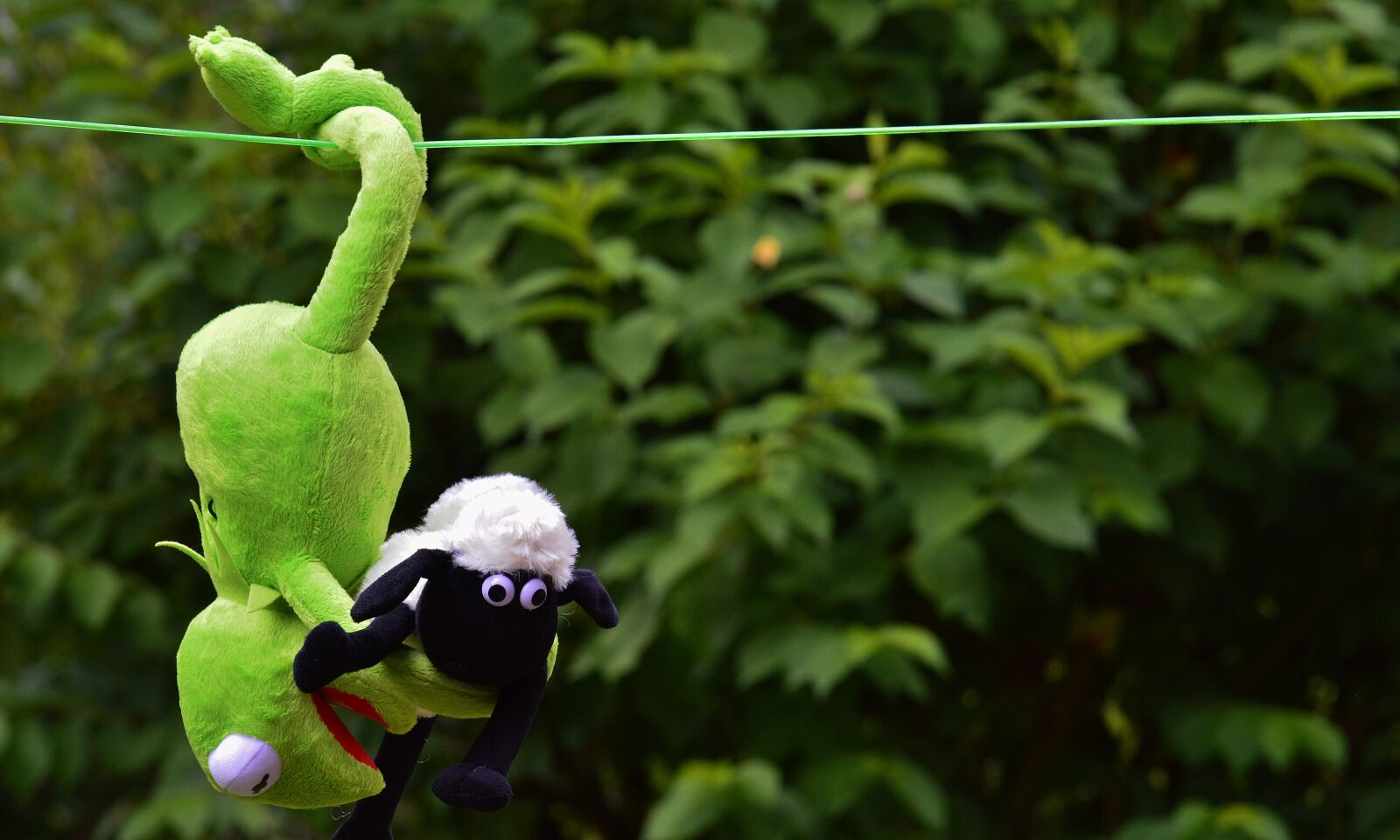 Nikon D3200 sample photo. Hang out, plush toys photography