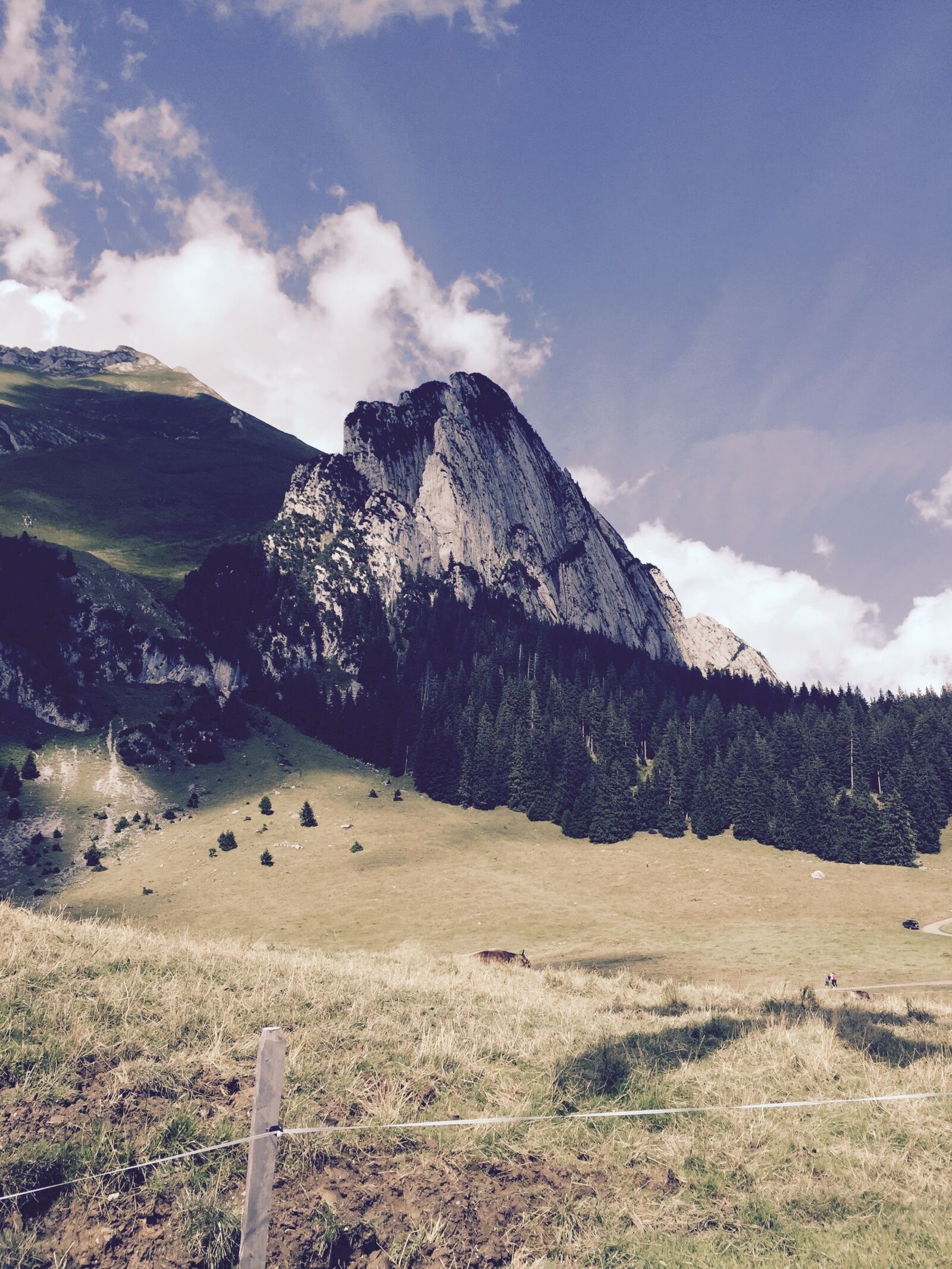 Apple iPhone 6 sample photo. Nature, mountain, switzerland photography