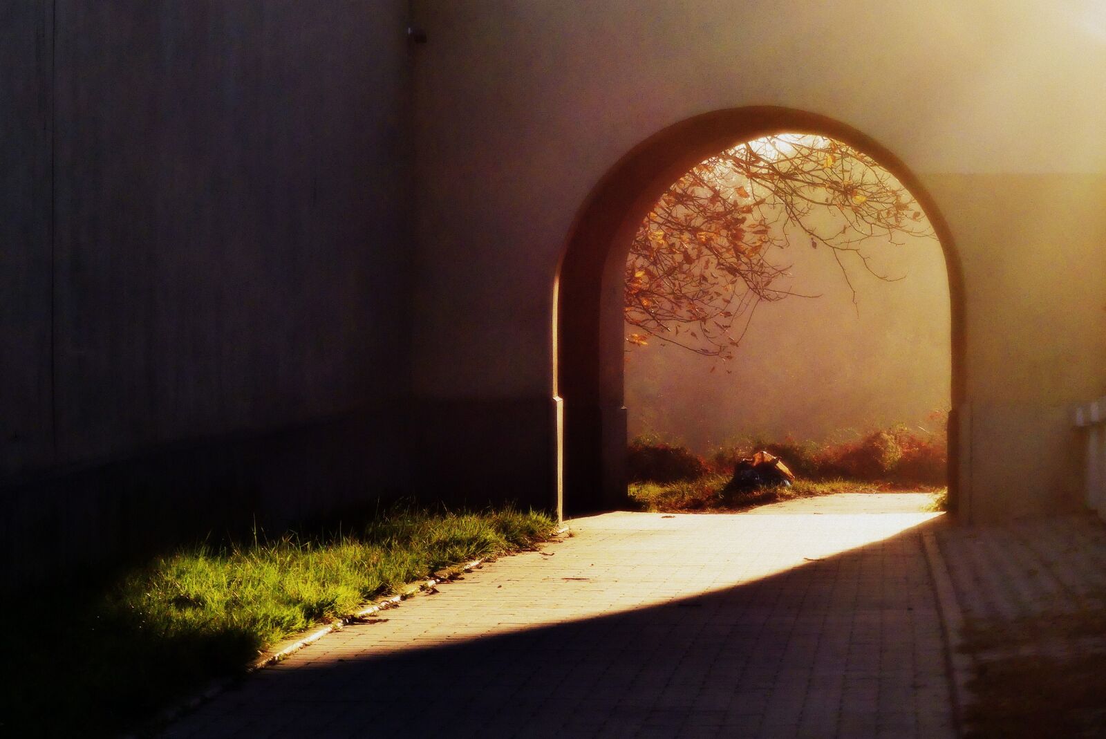 Panasonic Lumix DMC-FZ300 sample photo. Autumn, light, the sun photography