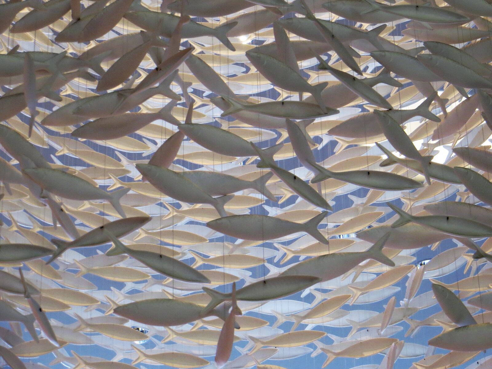 Canon PowerShot SX240 HS sample photo. Art, blue, fishes, hang photography