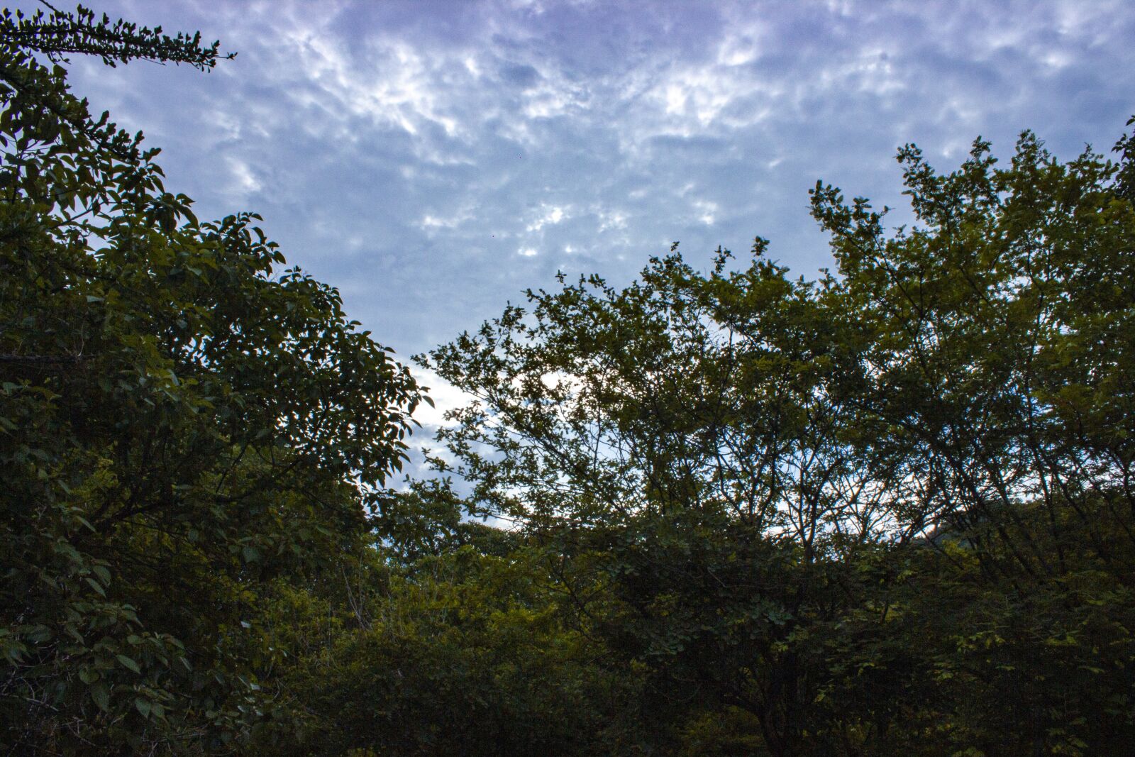 Canon EOS 600D (Rebel EOS T3i / EOS Kiss X5) sample photo. Landscape, water, nature photography