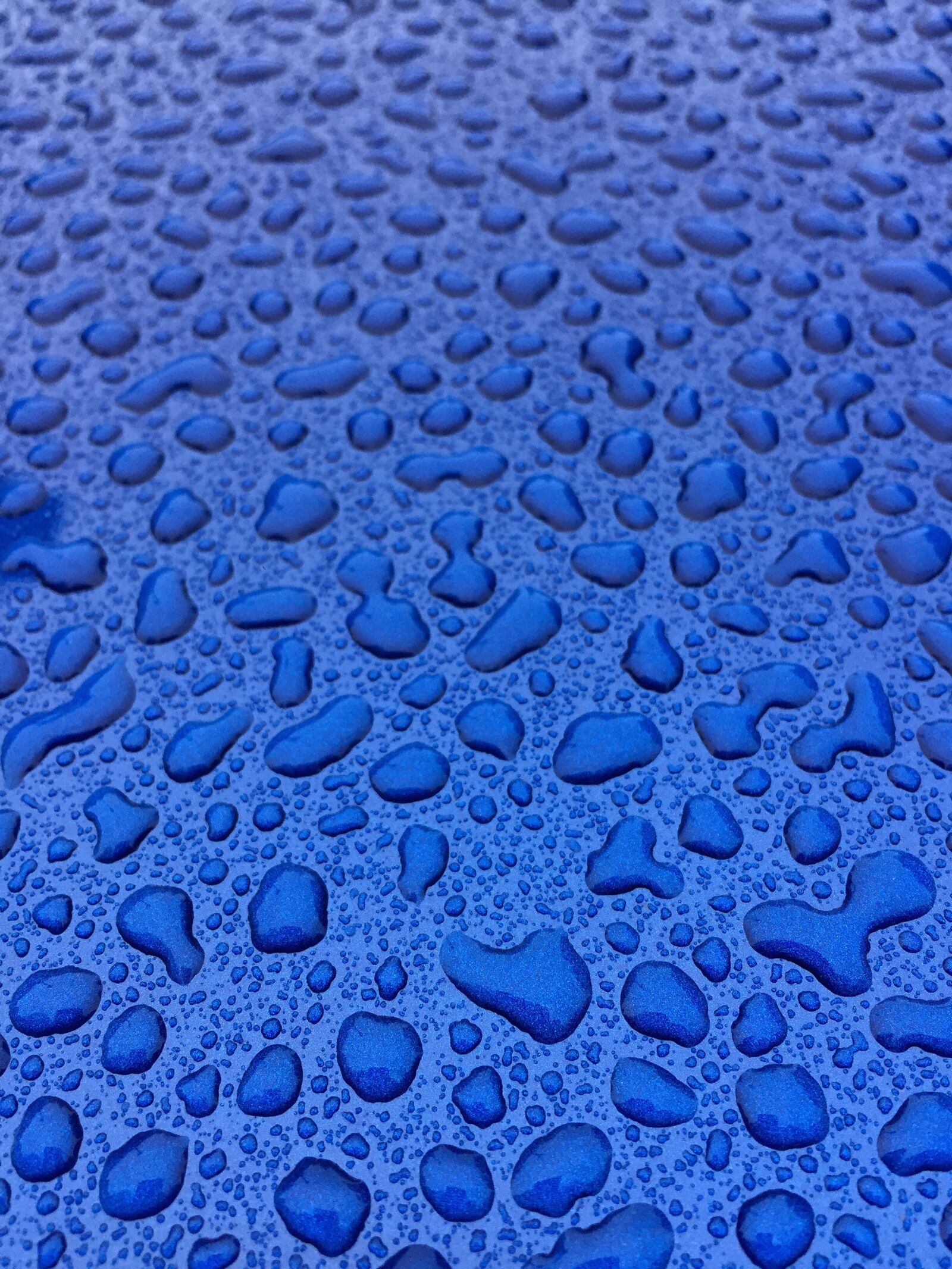 Apple iPhone 6 sample photo. Water, car, droplets photography