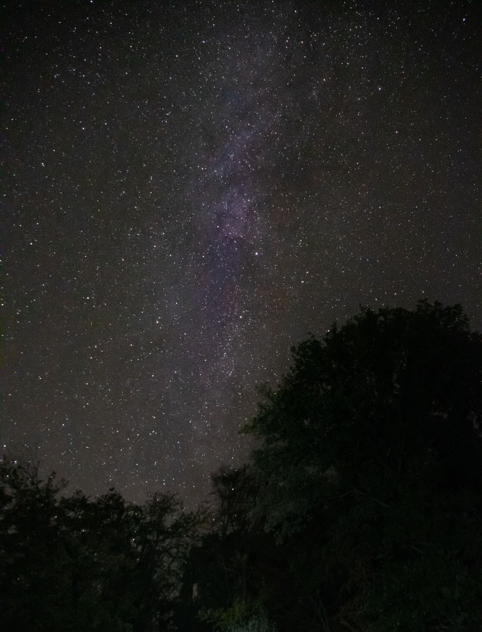 Canon EOS 750D (EOS Rebel T6i / EOS Kiss X8i) sample photo. Starry sky, star, astrophotography photography