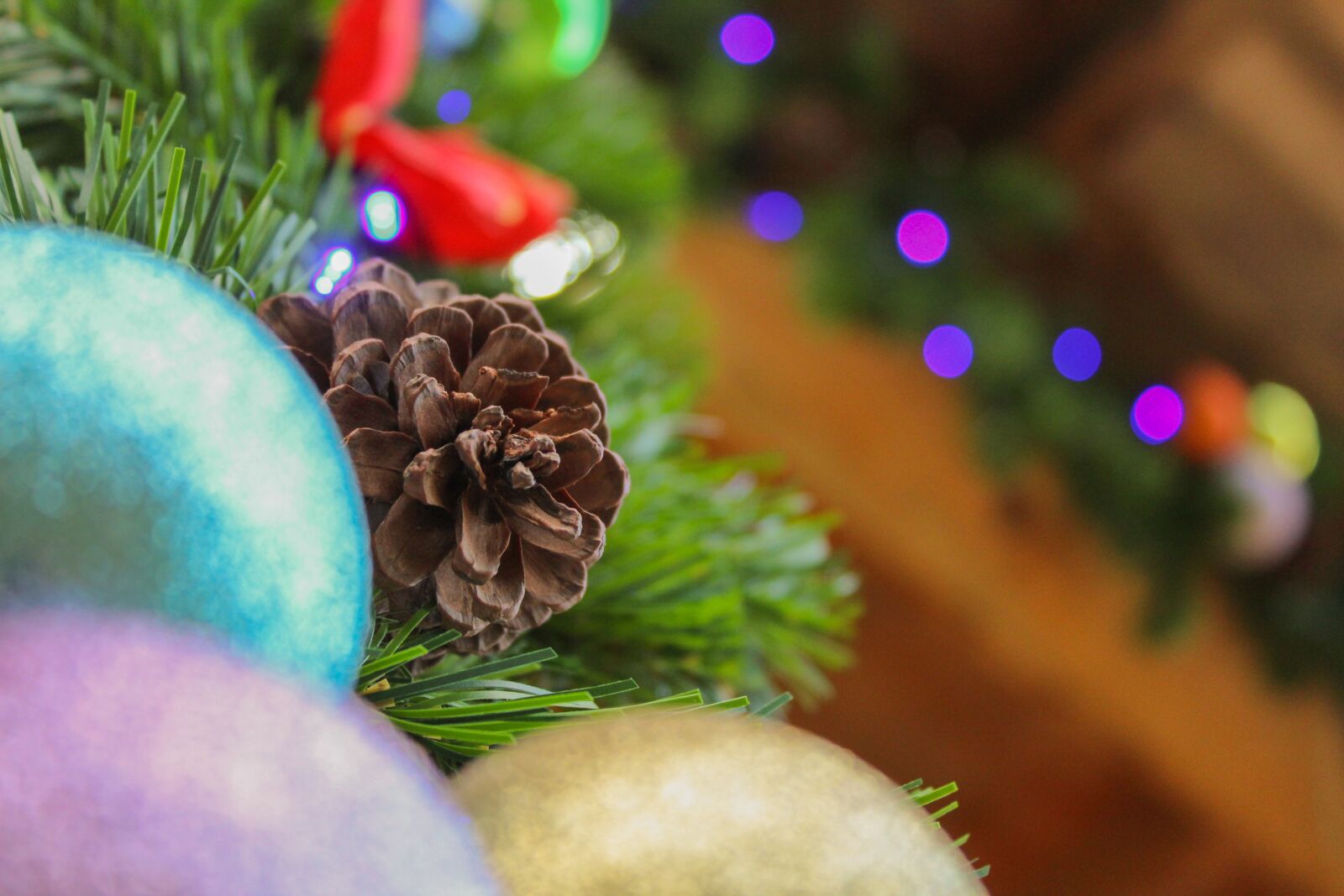 Canon EOS 1300D (EOS Rebel T6 / EOS Kiss X80) sample photo. Christmas, december, pine photography