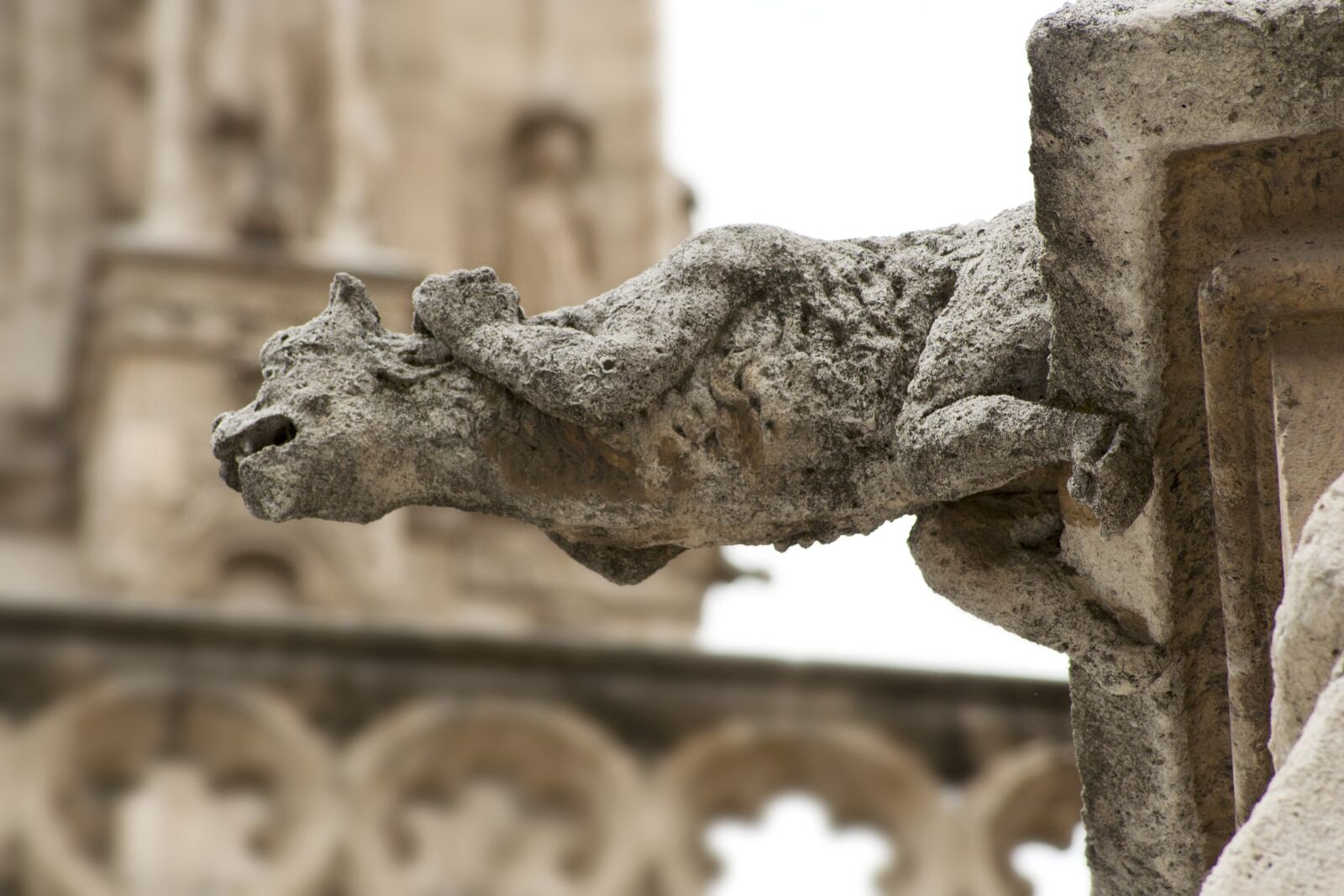 Canon EOS 350D (EOS Digital Rebel XT / EOS Kiss Digital N) sample photo. Gargoyle, sculpture, stone photography
