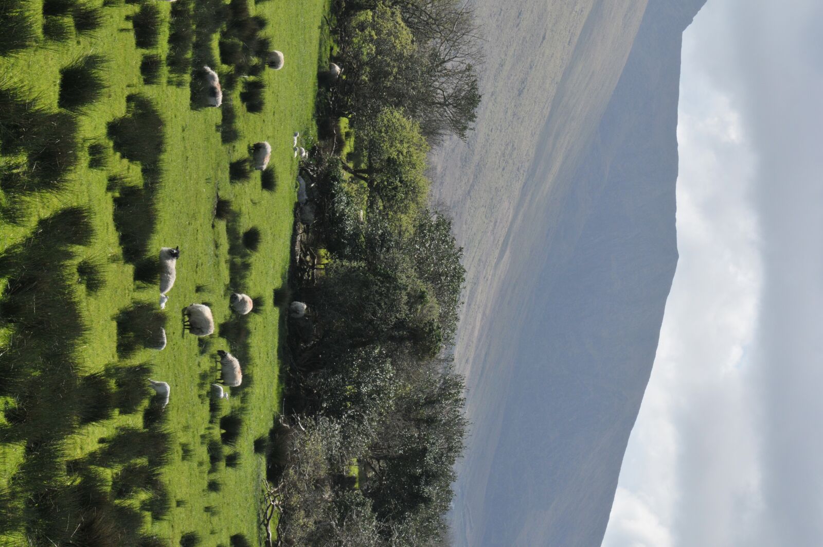 Nikon D300 sample photo. Field, cloud, sun photography
