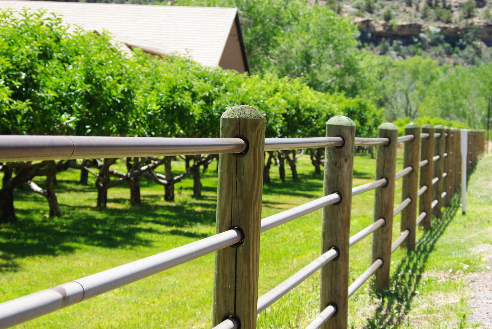 Pentax K200D sample photo. Fence, wood, wooden fence photography