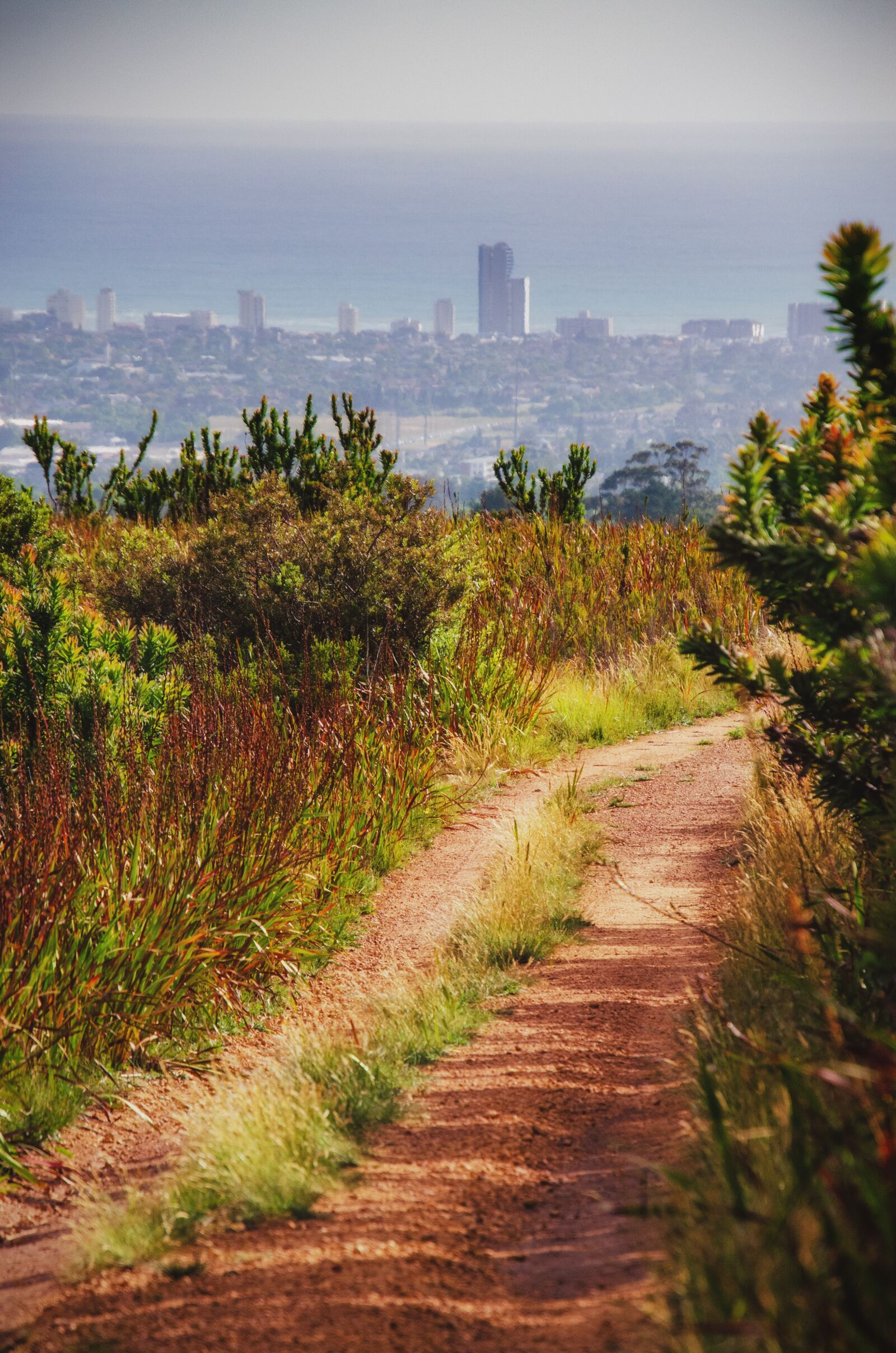 Nikon D7000 sample photo. Path, trail, hiking photography