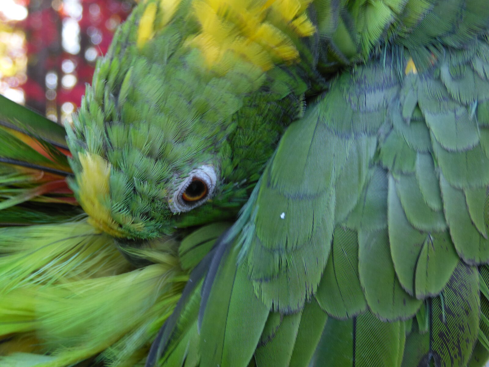 Samsung WB2200F sample photo