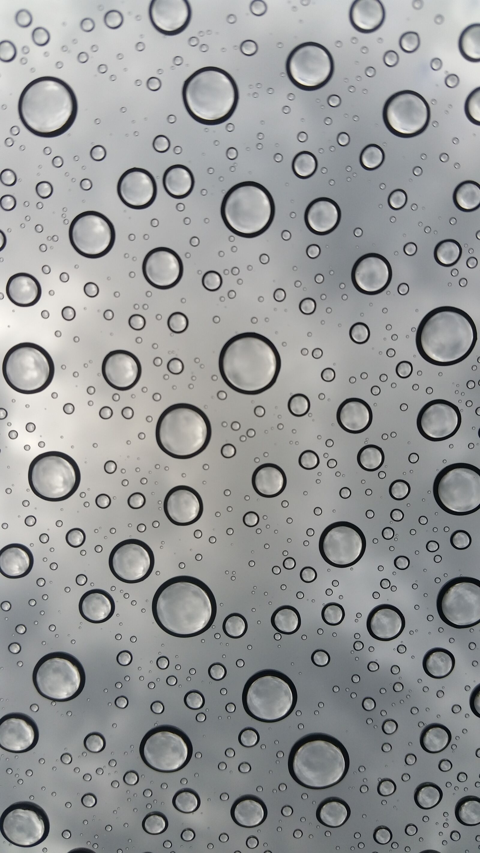 Samsung Galaxy S5 sample photo. Rain, drops, spring photography