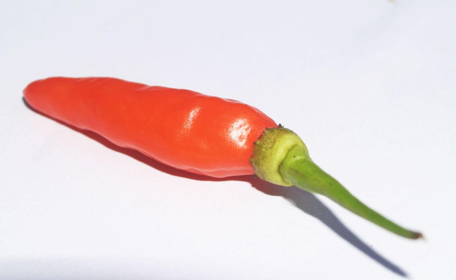 Olympus E-300 (EVOLT E-300) sample photo. Chilli, pepper, red photography
