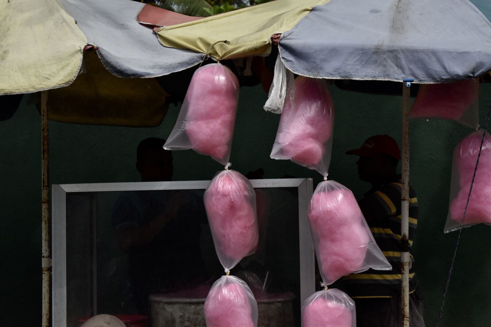Nikon D5500 sample photo. Cotton candy, pink, candy photography