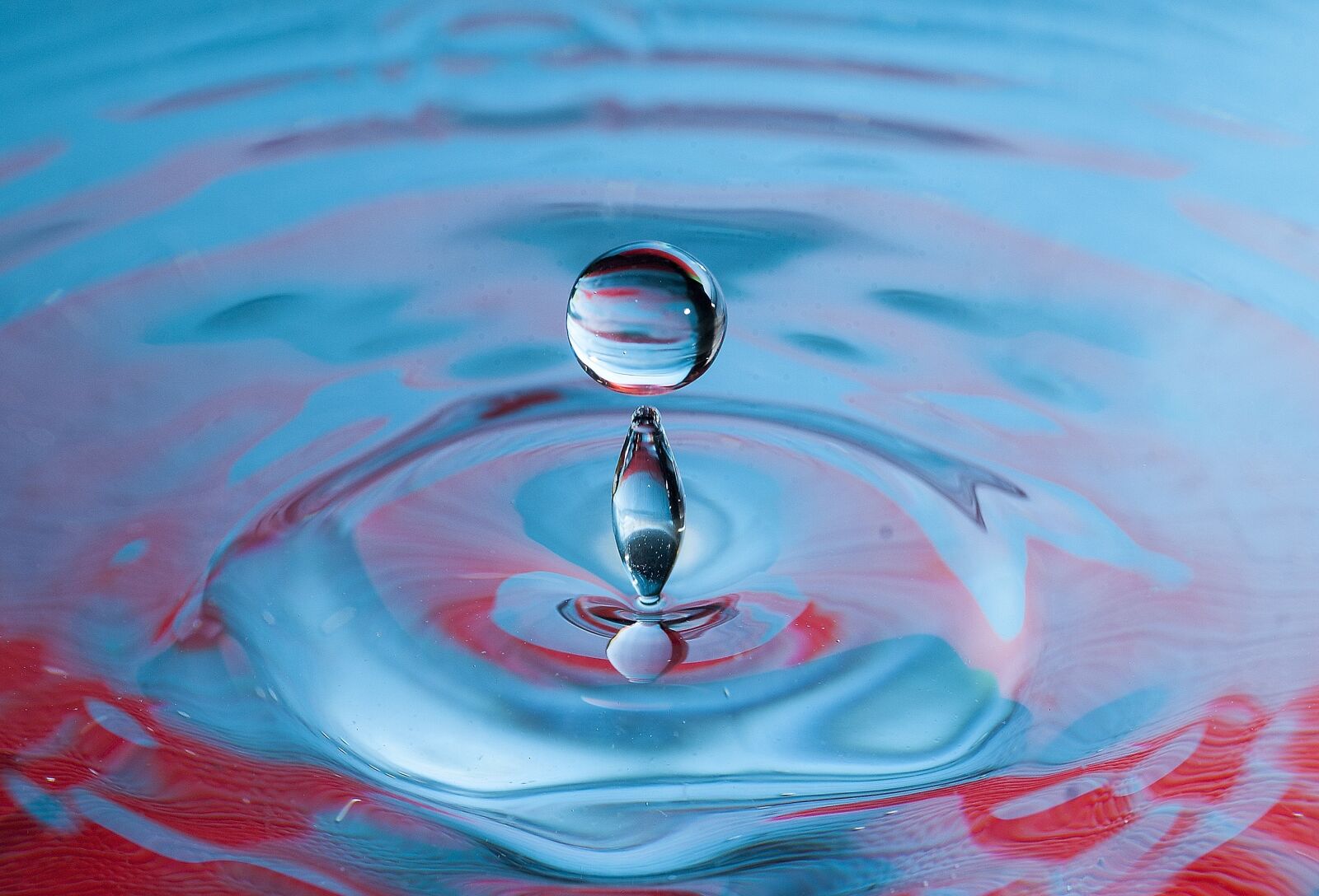 Nikon D80 sample photo. Drops, sketch, macro photography