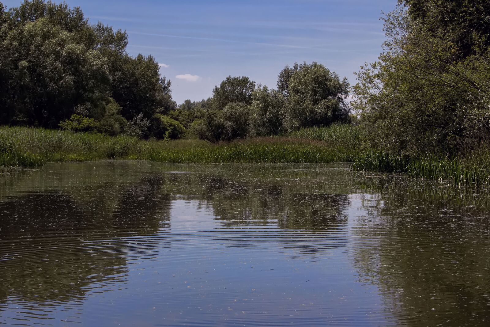 Canon EOS 600D (Rebel EOS T3i / EOS Kiss X5) sample photo. Danube, slovakia, nature photography
