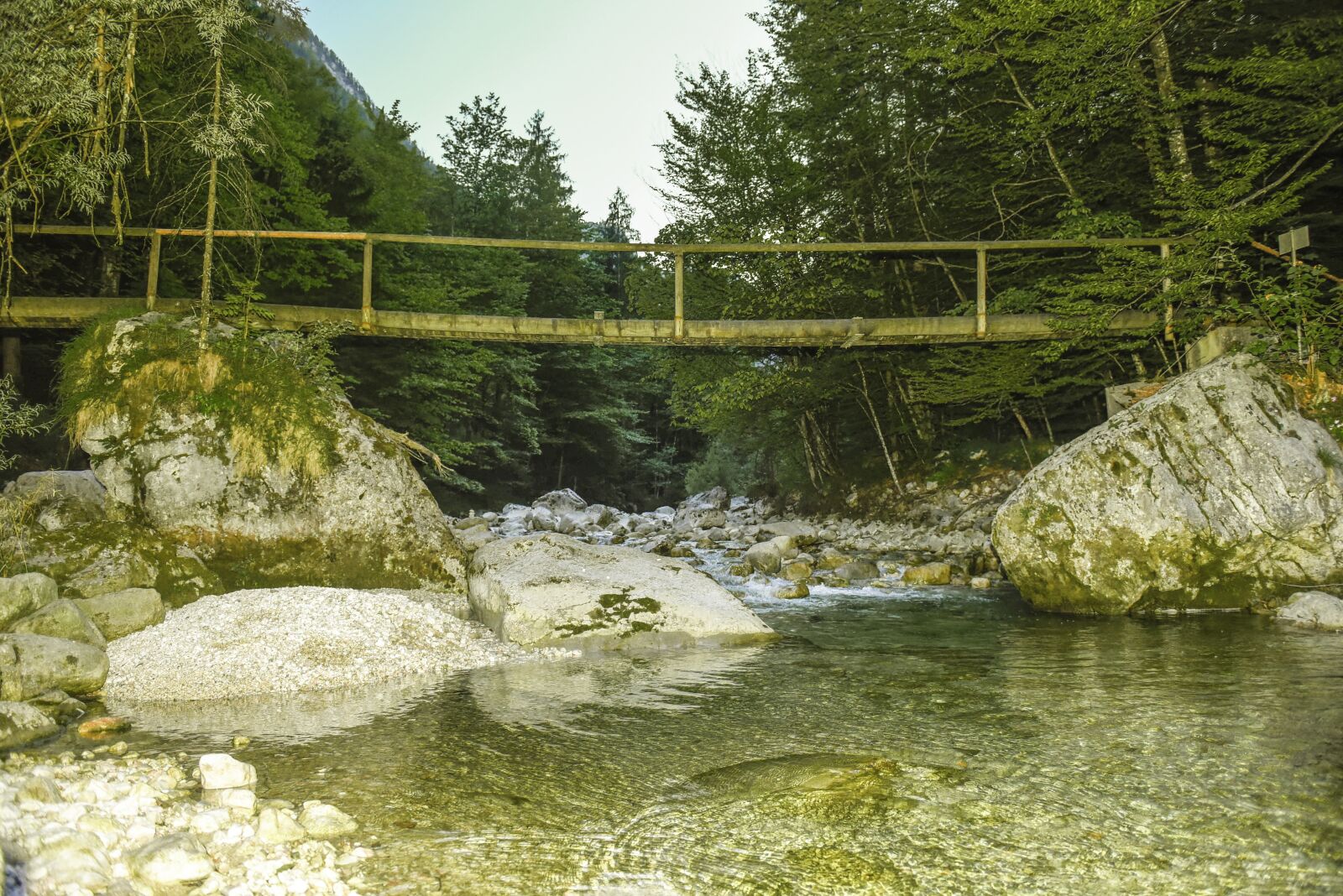 Nikon D750 sample photo. Water, inject, forest photography