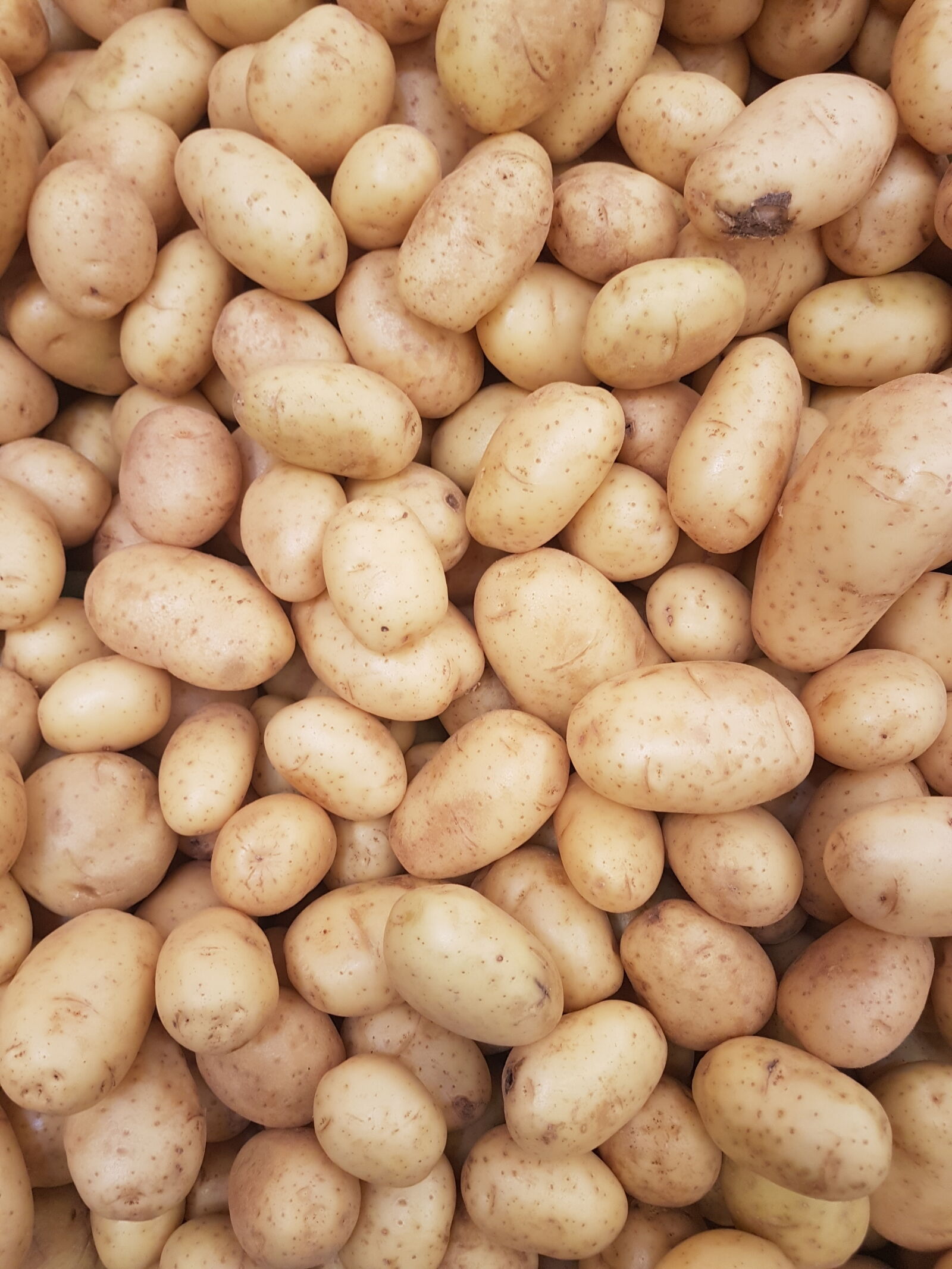 Samsung Galaxy S7 sample photo. Potatoes photography