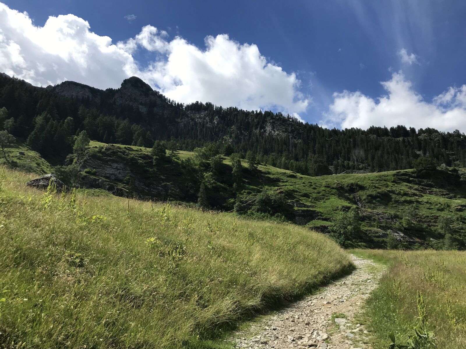 iPhone 7 back camera 3.99mm f/1.8 sample photo. Towards landarenca, alpine route photography
