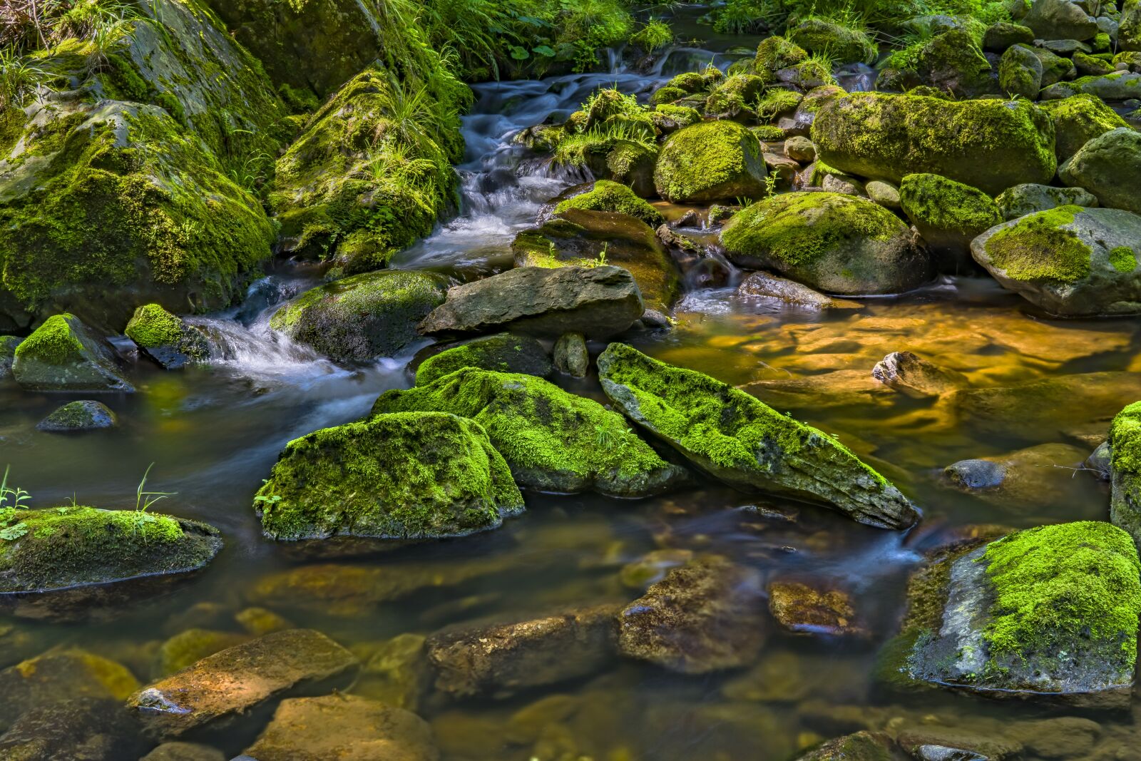 Sony a6300 + Sigma 30mm F2.8 EX DN sample photo. Water, river, nature photography
