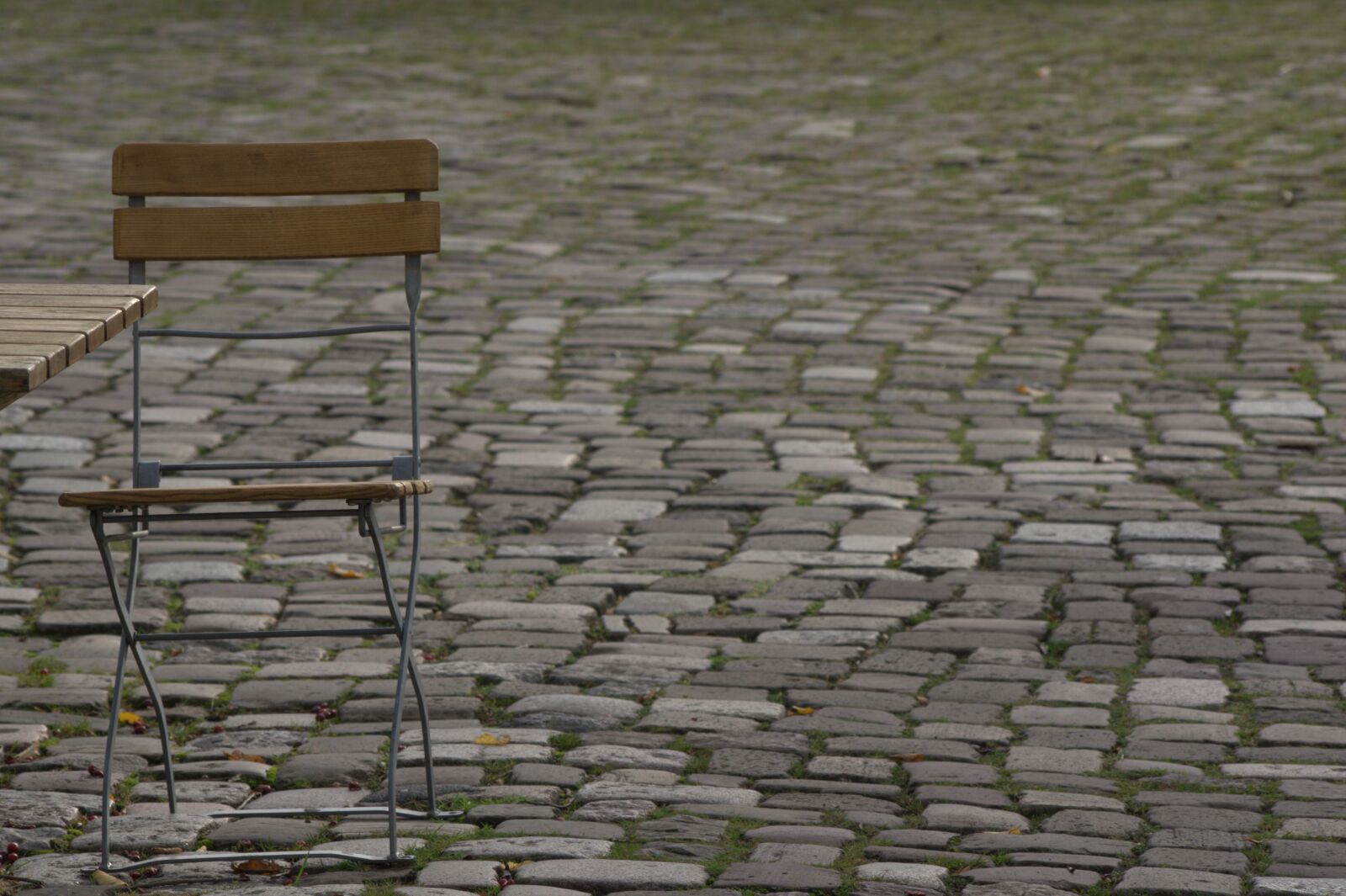 Sony SLT-A55 (SLT-A55V) sample photo. Patch, chair, table photography
