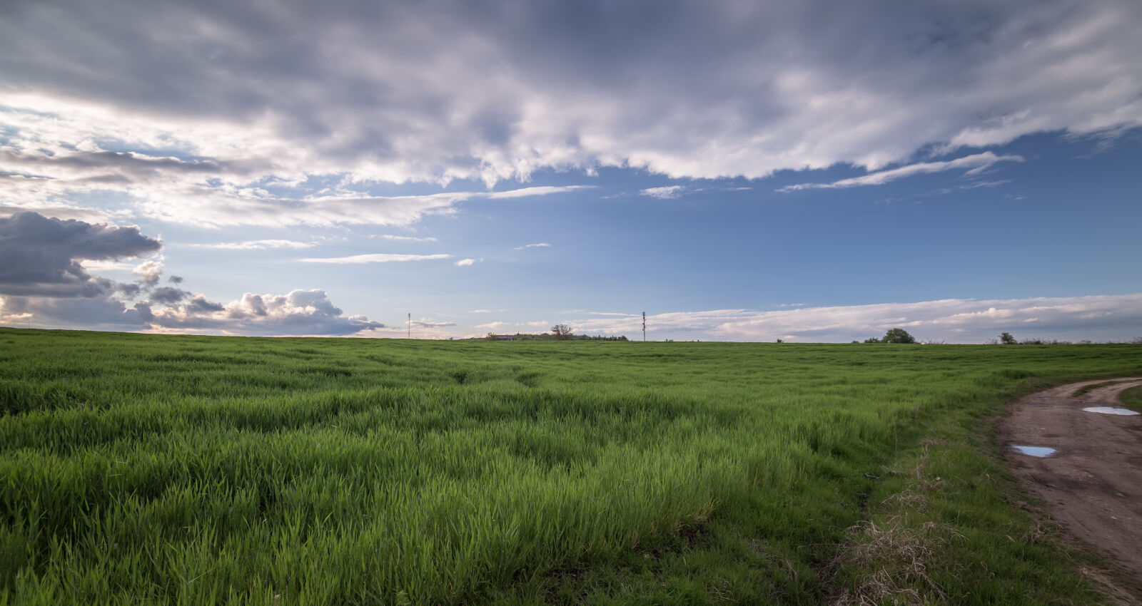 Tokina AT-X Pro 11-16mm F2.8 DX sample photo. Agriculture, clouds, country, countryside photography