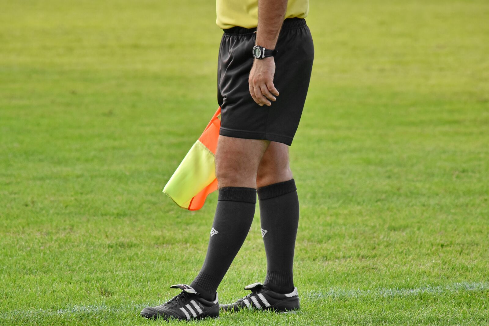 Nikon D5500 sample photo. Football, judge, official, sport photography