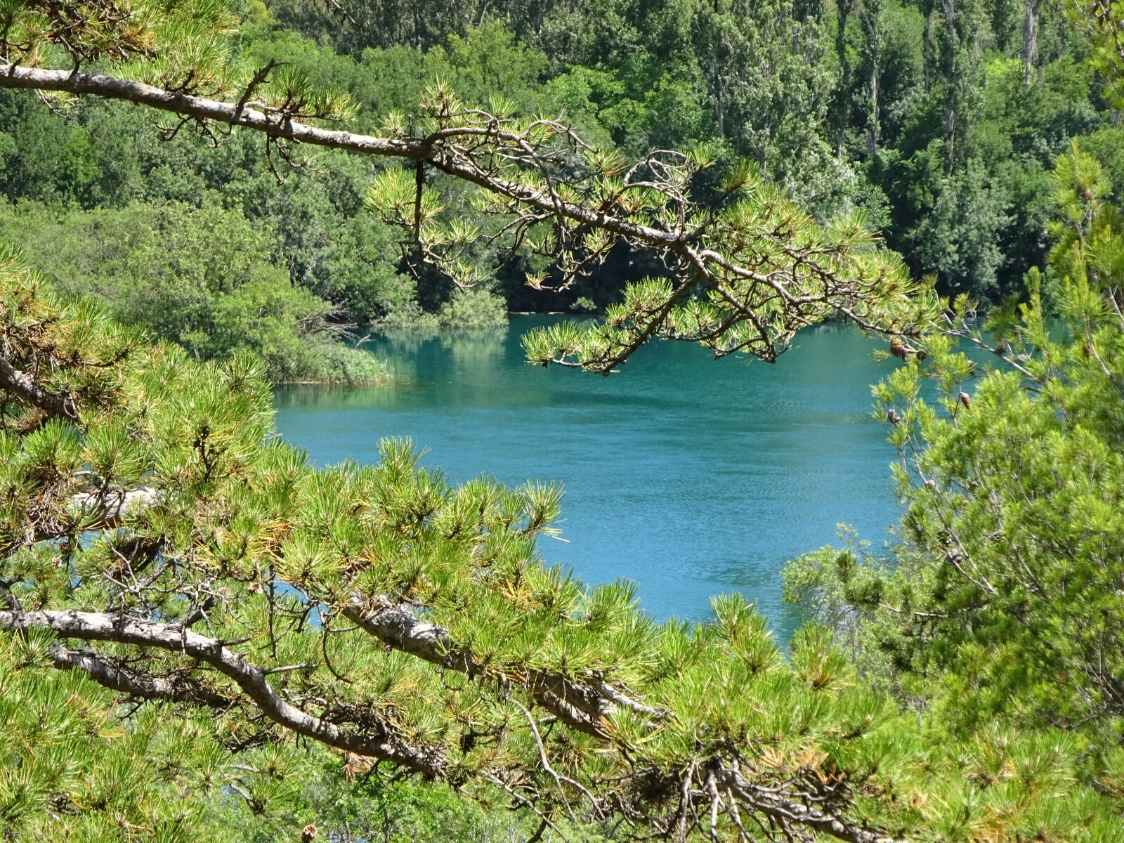Sony Cyber-shot DSC-WX350 sample photo. Nature, water, landscape photography