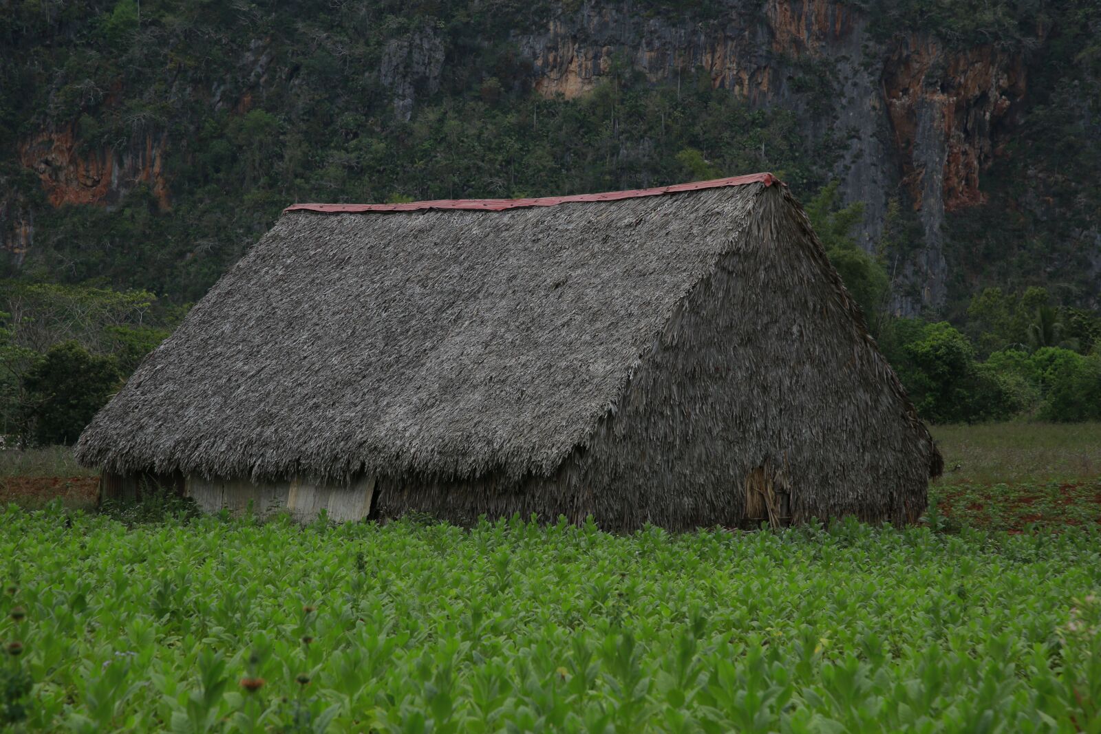 Canon EOS 6D + Canon EF 24-105mm F4L IS USM sample photo. House, cabin, hut photography