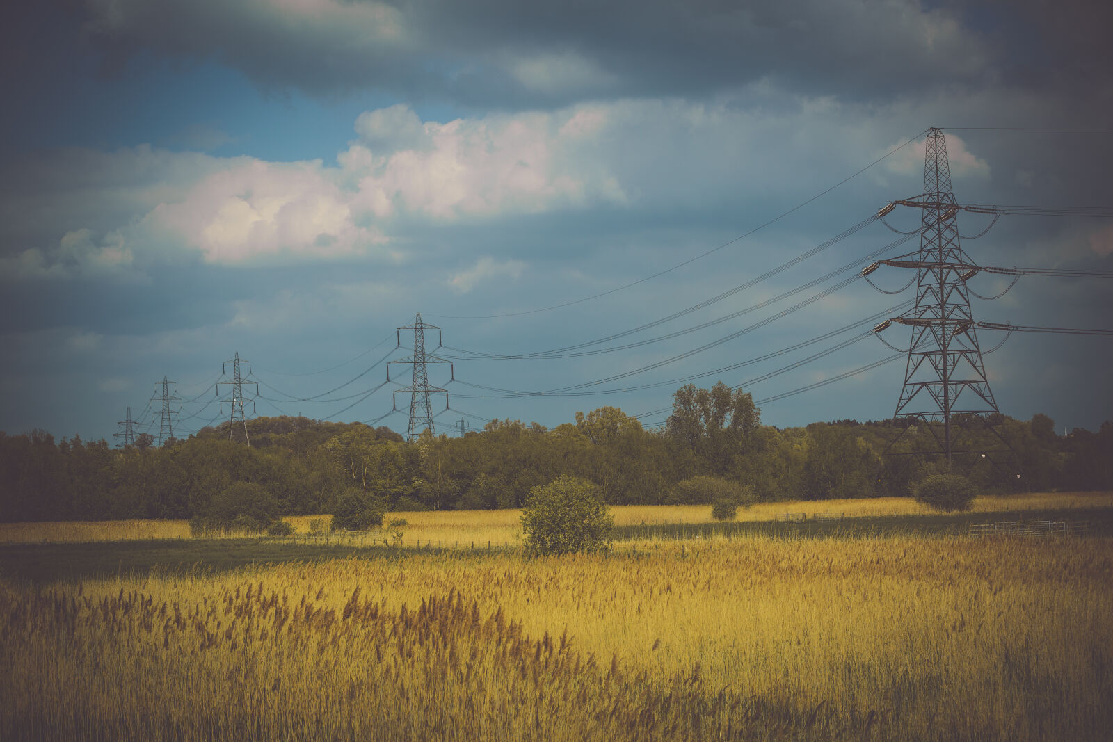 Canon EOS 5D Mark III sample photo. Electricity, pylon, field, landscape photography