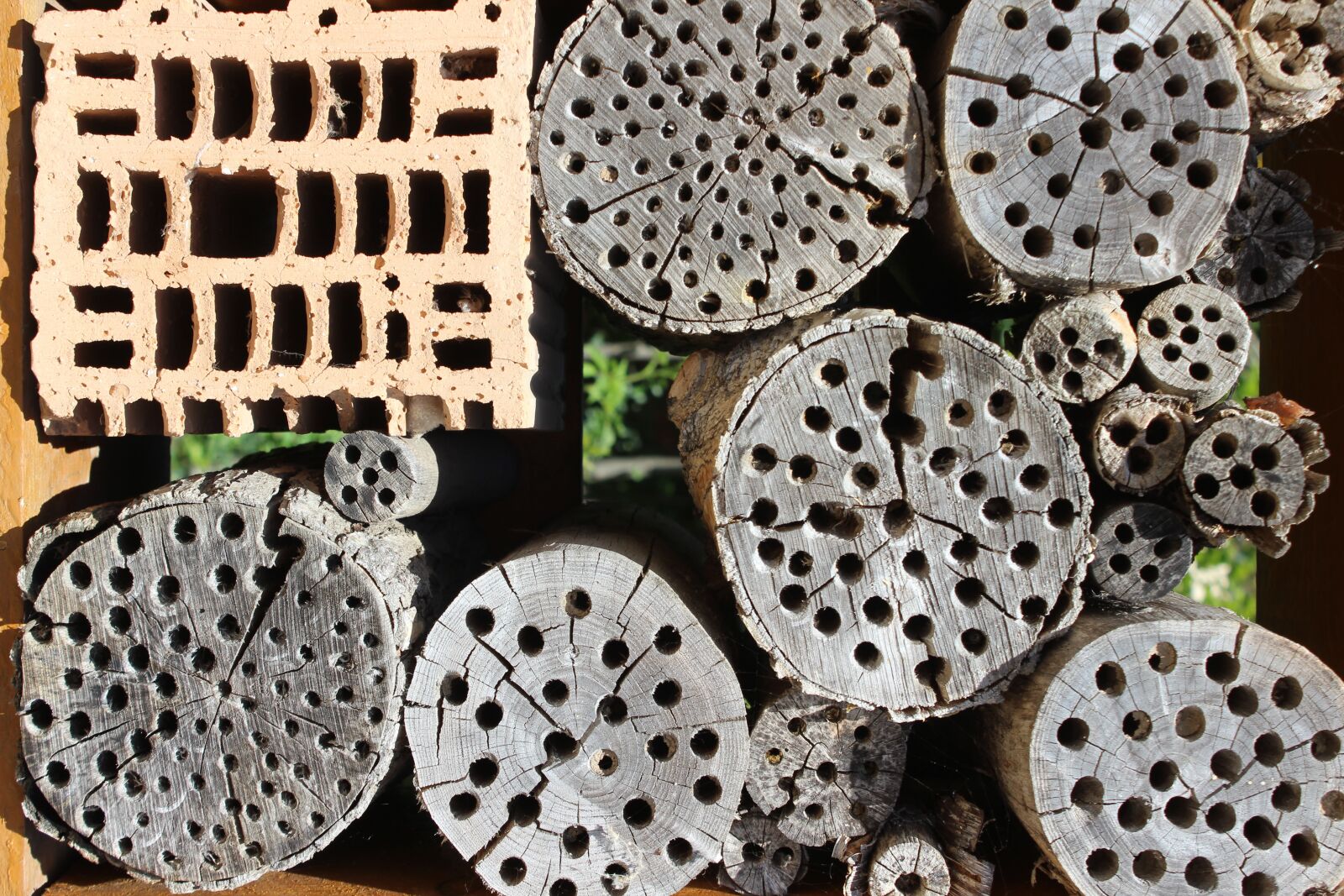 Canon EOS 600D (Rebel EOS T3i / EOS Kiss X5) sample photo. Insect hotel, wood, insect photography