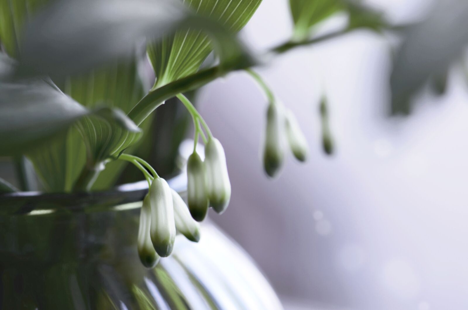 Nikon D5100 sample photo. Nature, bouquet, green photography