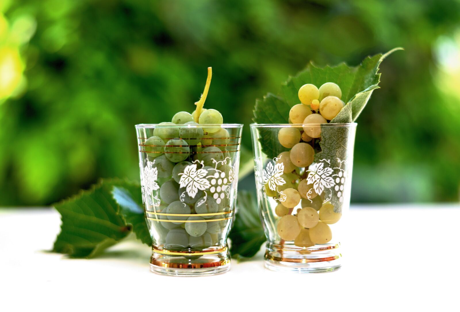 Nikon D610 sample photo. Grapes, wine glass, white photography