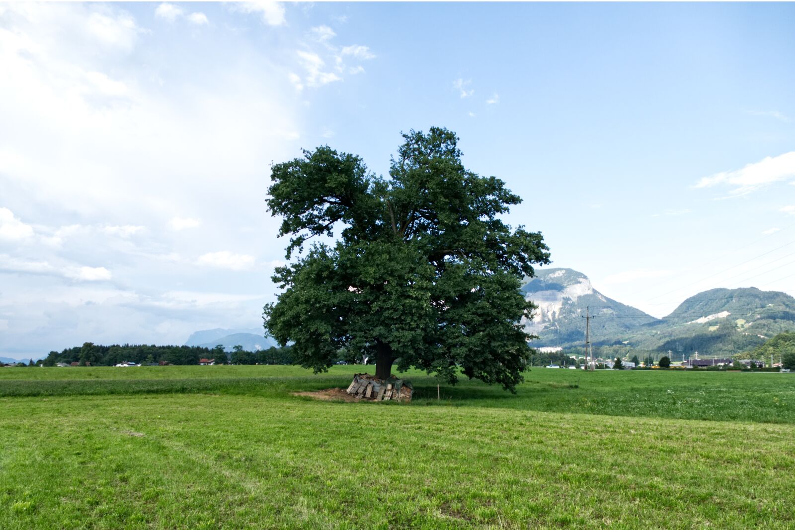 Panasonic Lumix DMC-FZ1000 sample photo. Tree, meadow, landscape photography