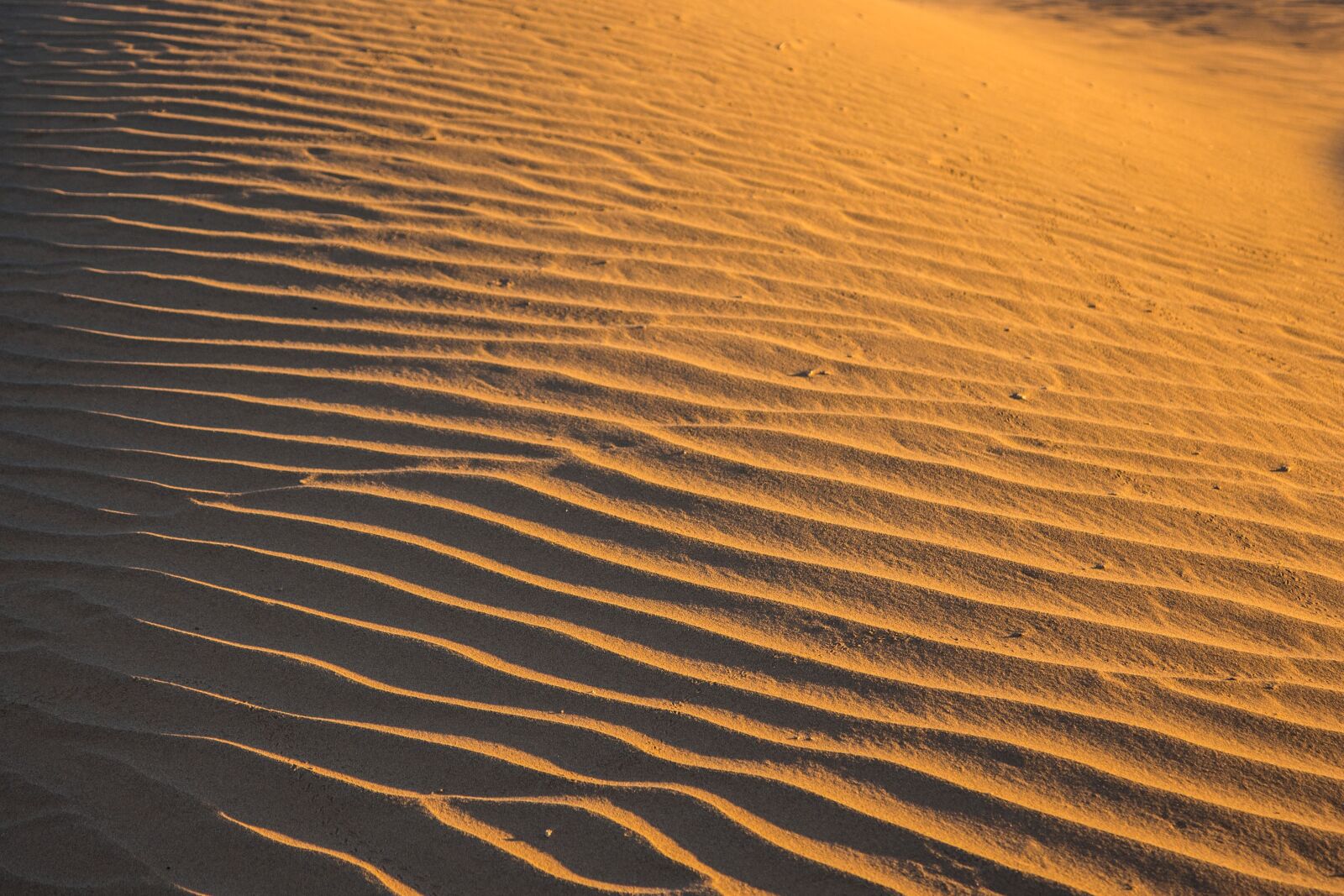 Canon EOS 700D (EOS Rebel T5i / EOS Kiss X7i) sample photo. Sahara, morocco, berber photography