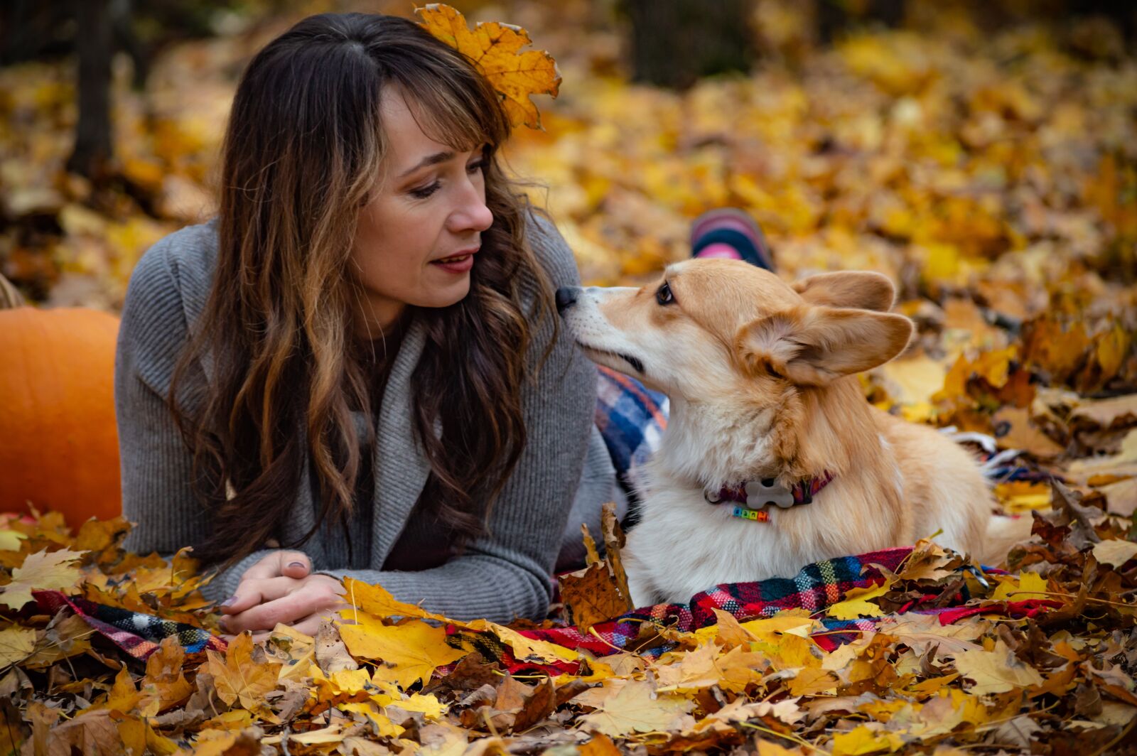 Nikon D3200 sample photo. Welsh corgi pembroke, corgi photography