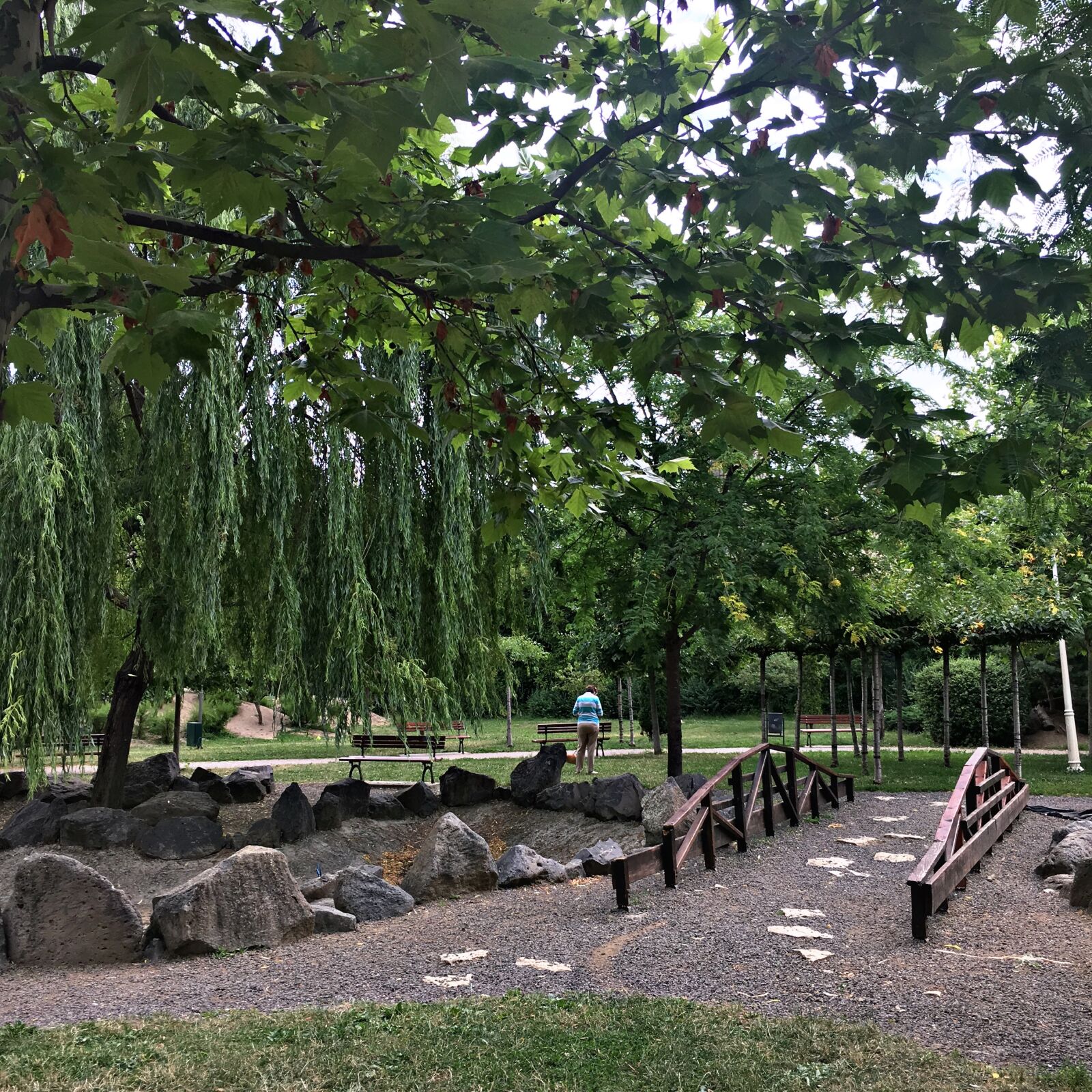 iPhone 6s back camera 4.15mm f/2.2 sample photo
