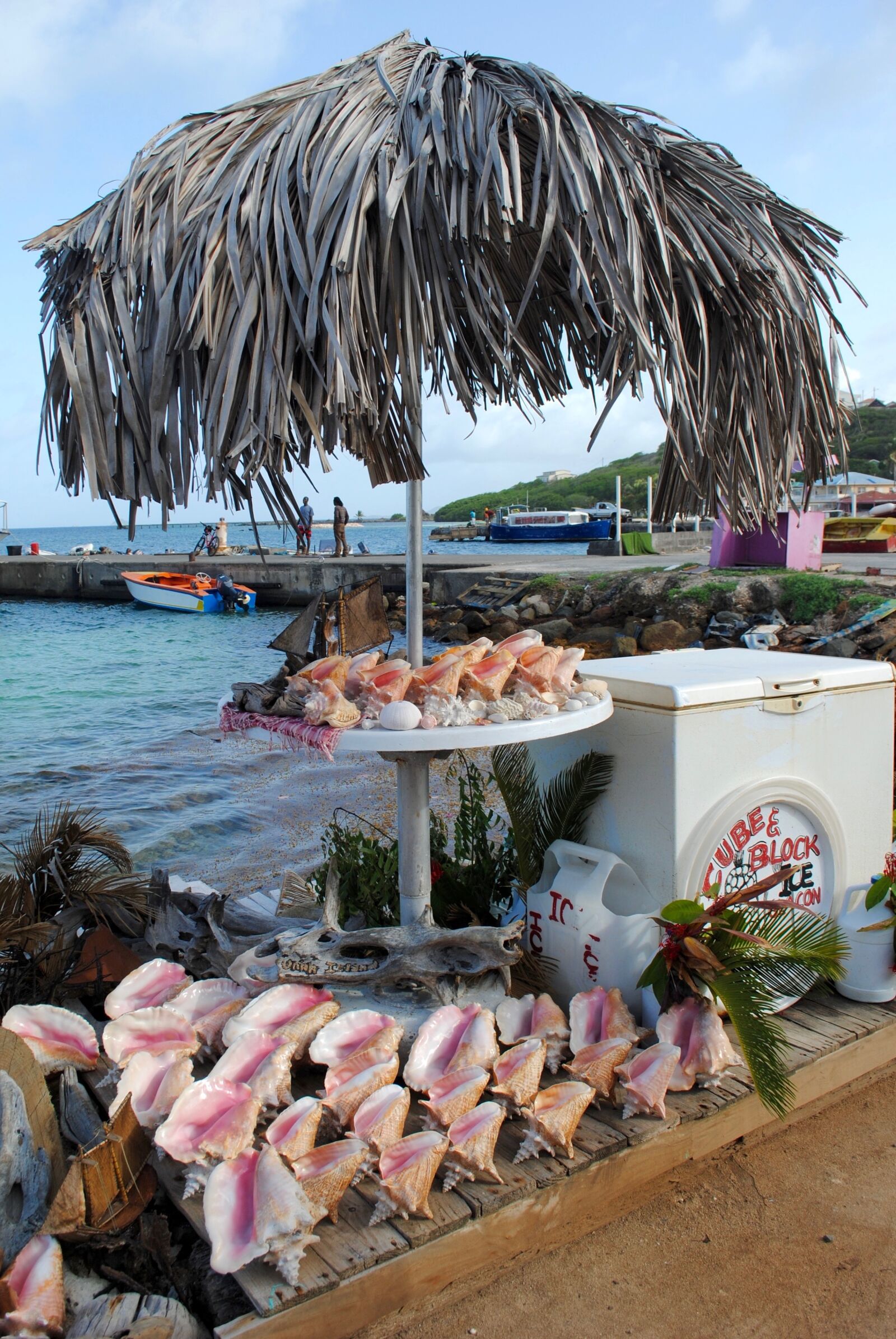 Nikon D3000 sample photo. Souvenir, shells, conch photography