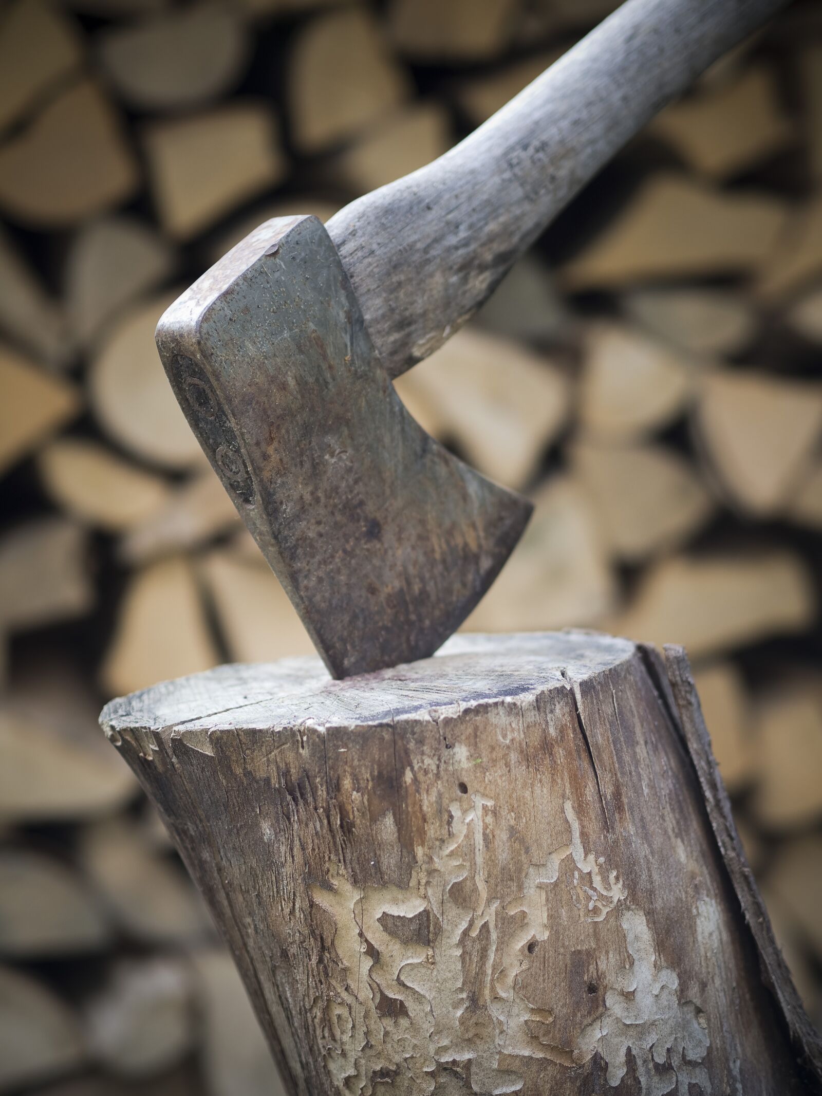 Olympus OM-D E-M10 II sample photo. Axe, wood, forest photography