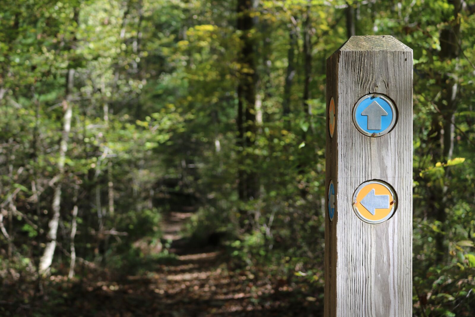 Canon EOS 750D (EOS Rebel T6i / EOS Kiss X8i) sample photo. Trail marker, signpost, trail photography