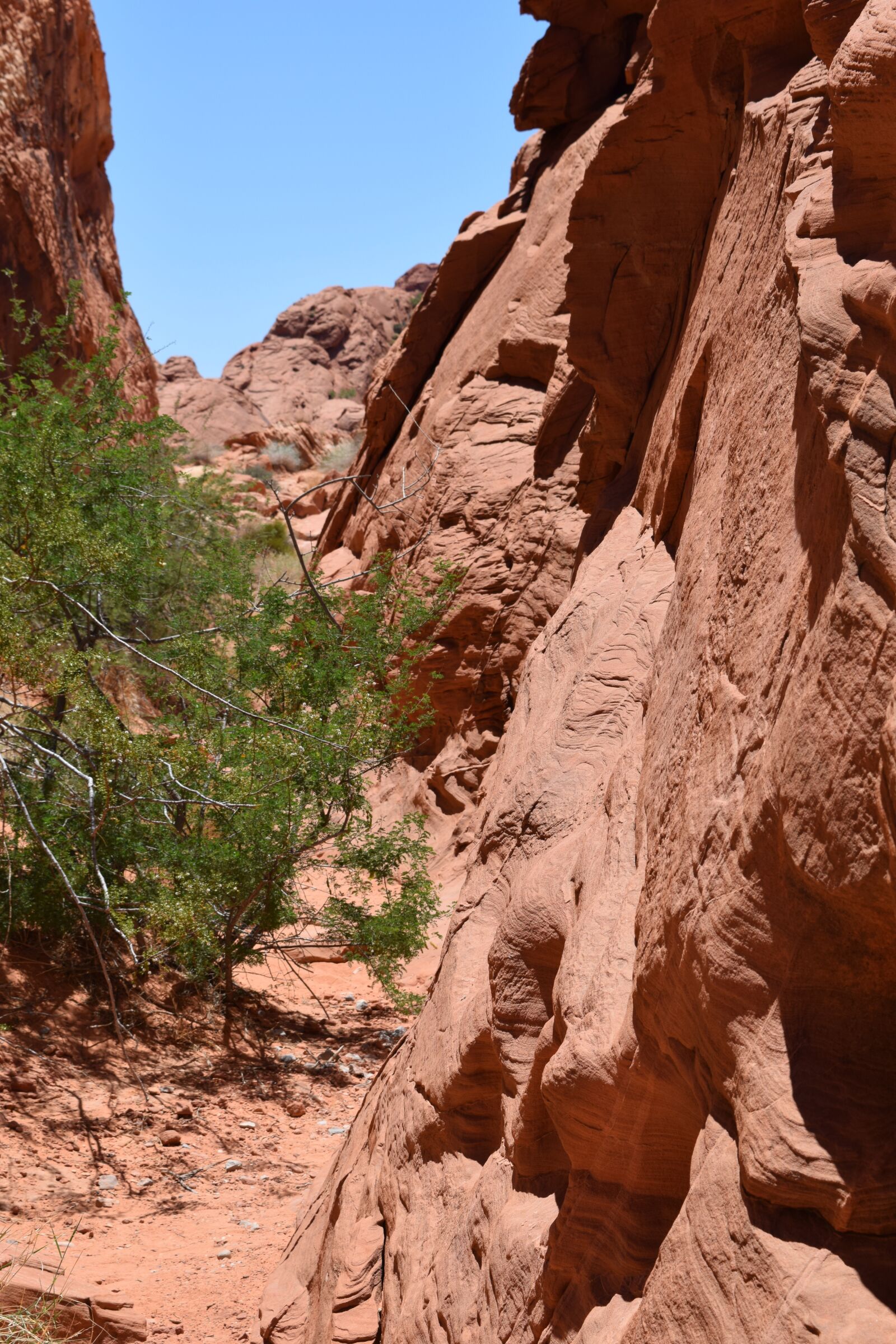 Nikon D3300 sample photo. Canyon, the valley of photography