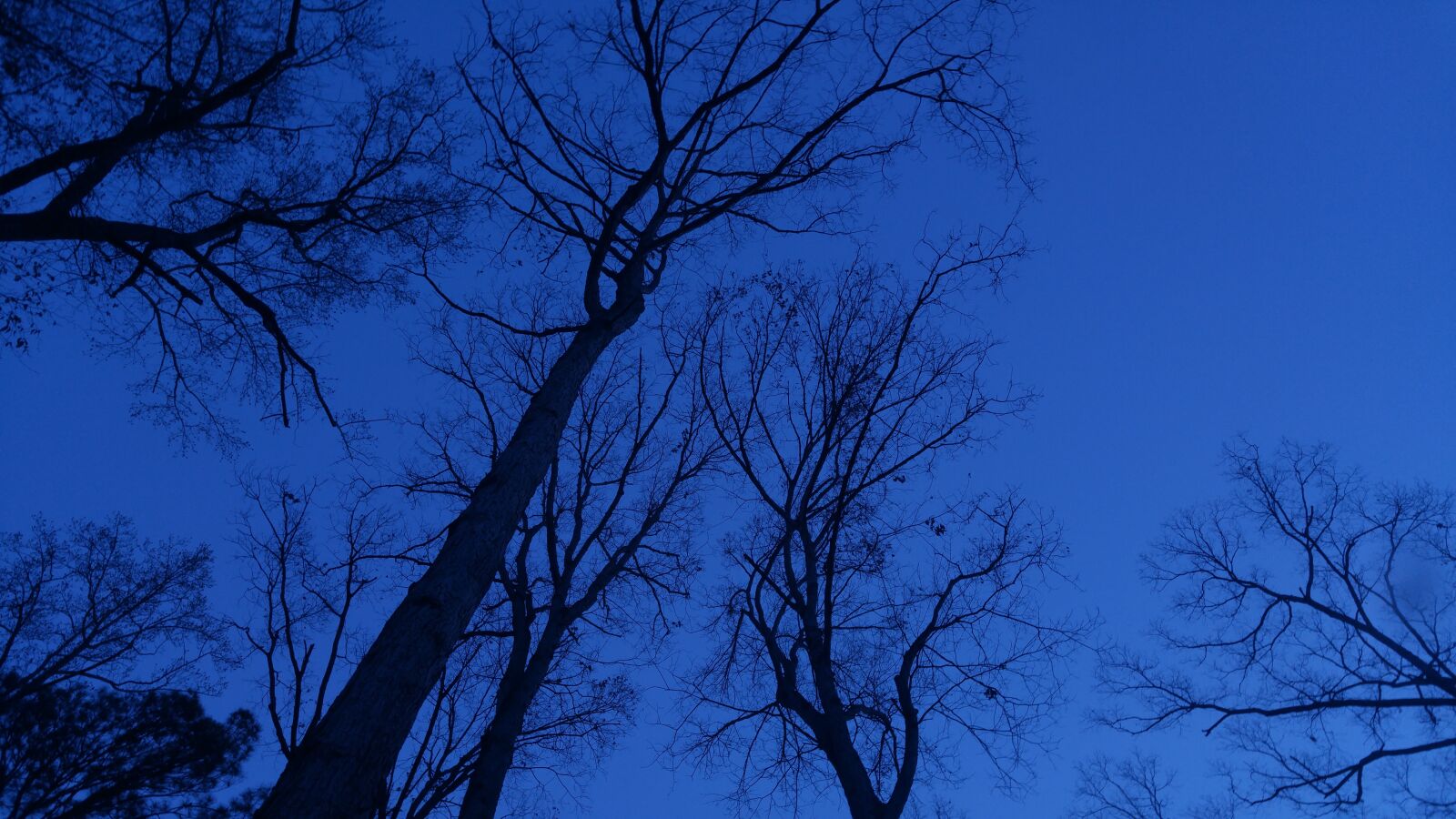 LG G4 sample photo. Blue, dawn, dusk, sky photography
