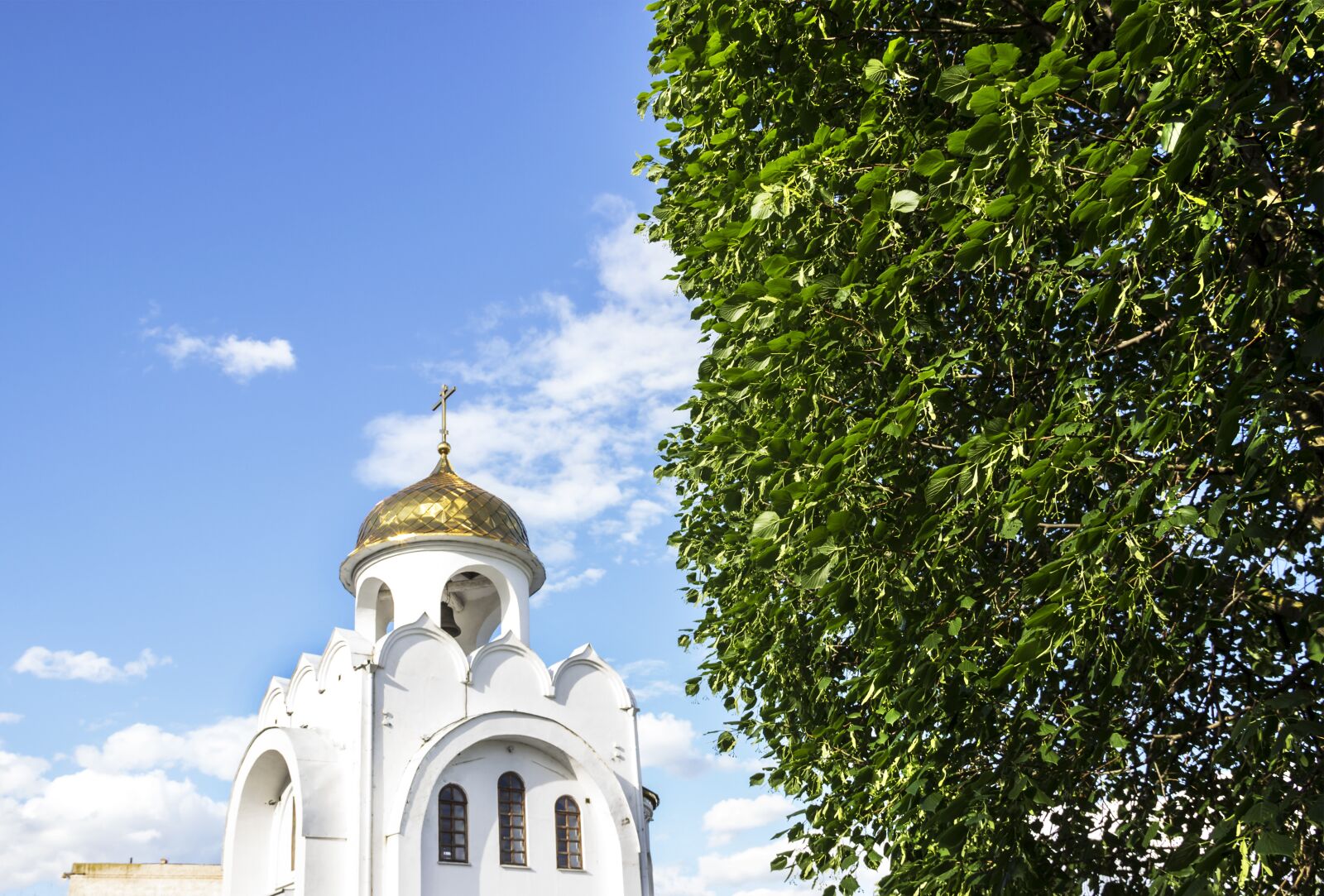 Canon EOS 600D (Rebel EOS T3i / EOS Kiss X5) sample photo. Church, sky, tree photography