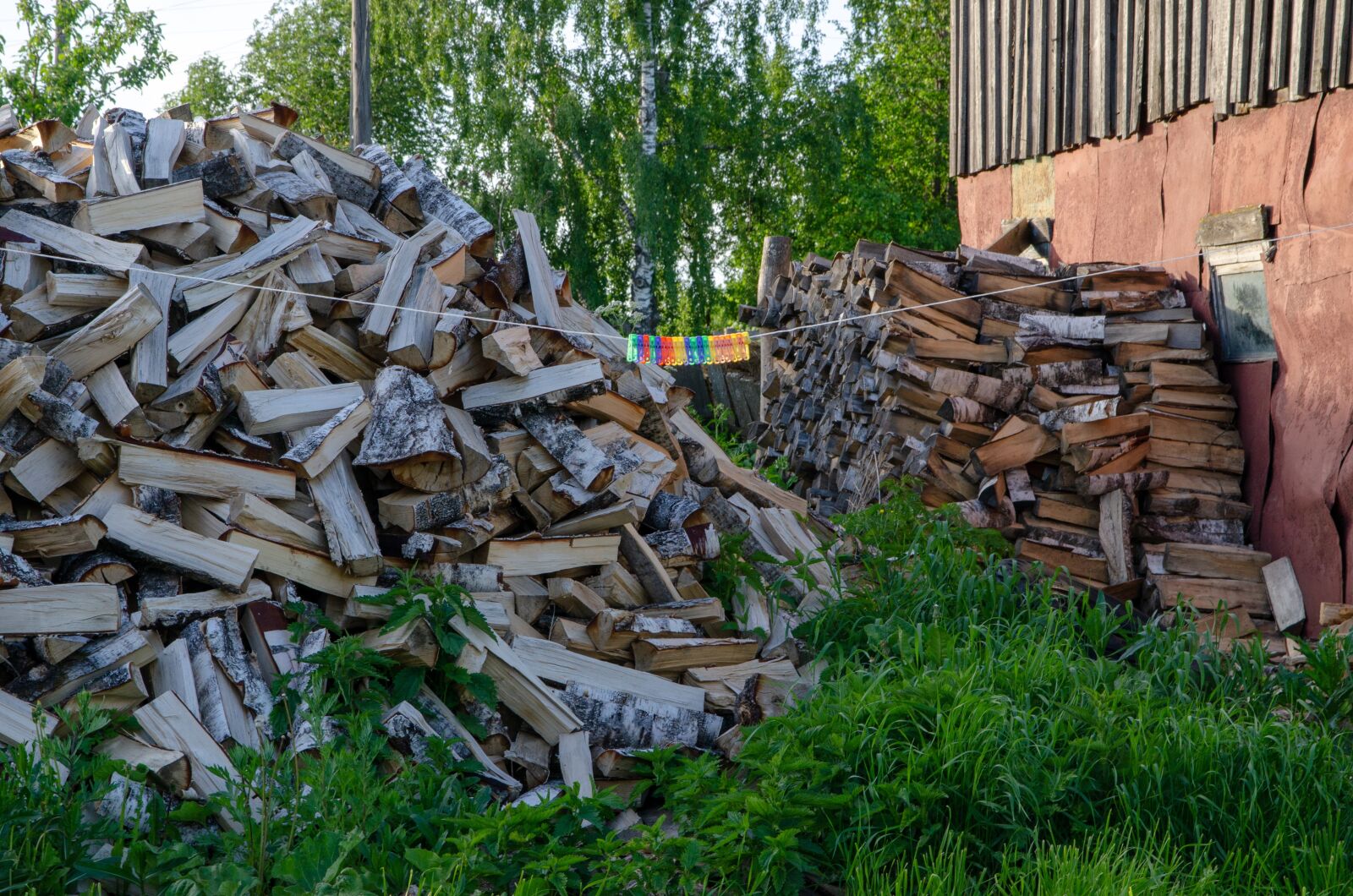 Nikon D7000 sample photo. Firewood, pile, garden photography