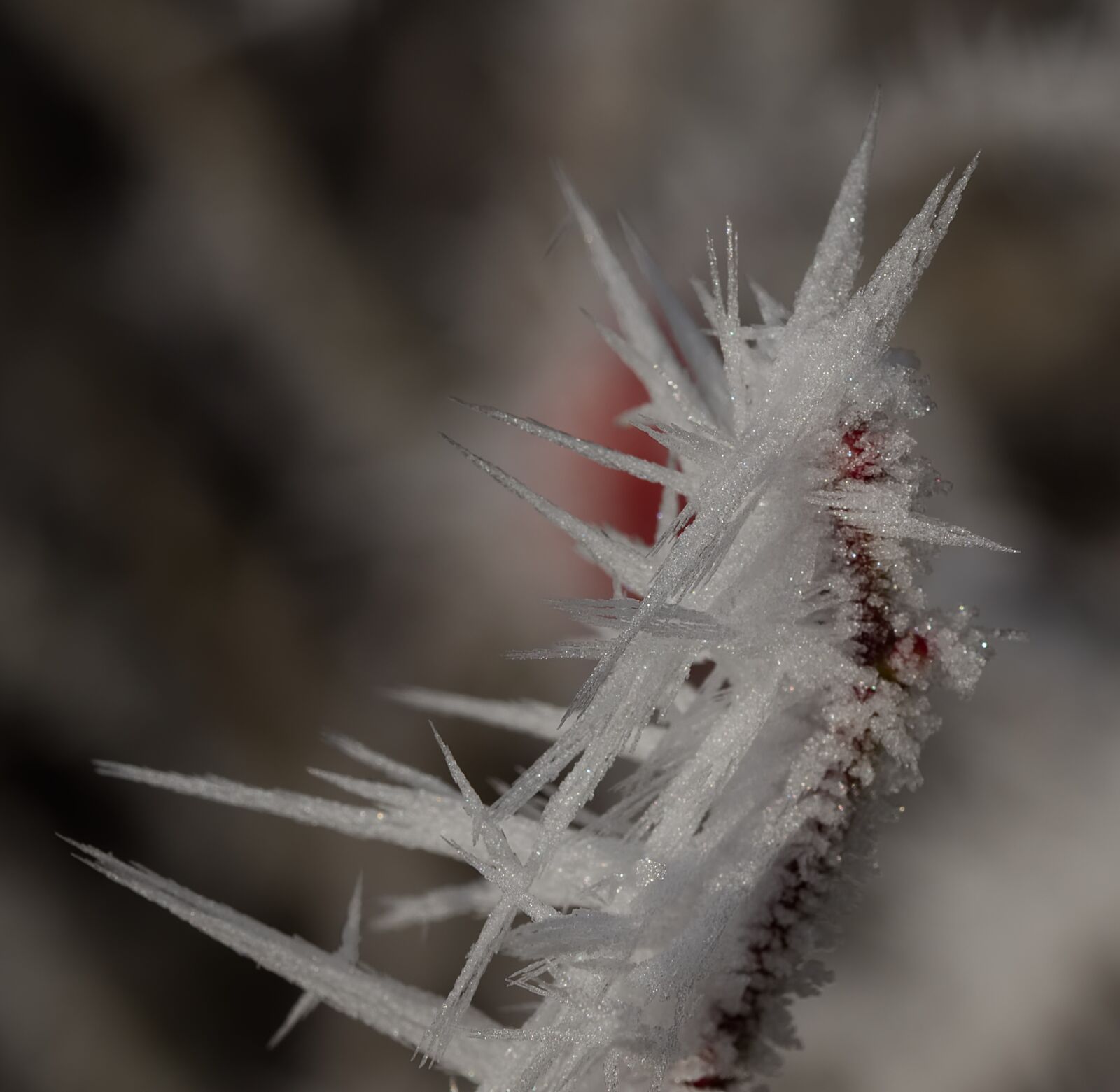 Nikon D5500 sample photo. Eiskristalle, ice, winter photography