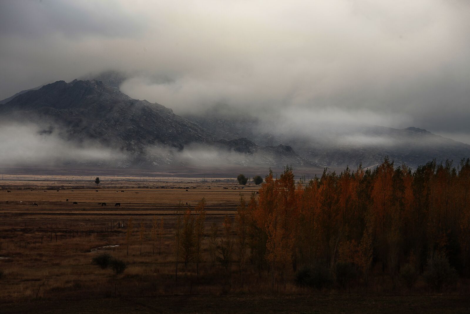 Canon EOS 5D Mark II sample photo. Prairie, dark clouds, autumn photography