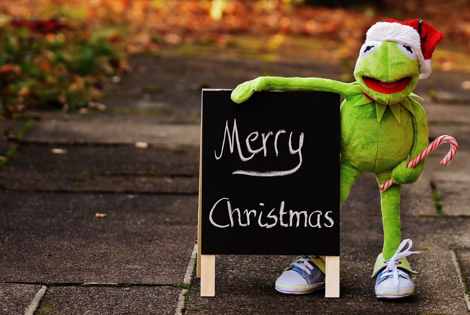 Nikon D7200 sample photo. Kermit, frog, christmas photography