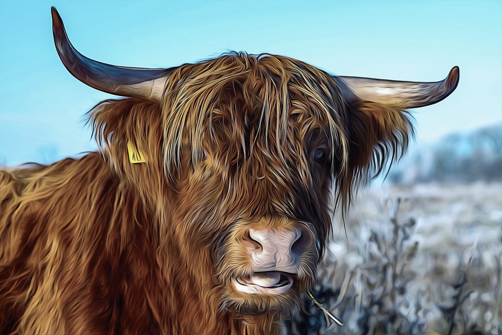 Canon EOS 5D Mark II sample photo. Beef, fur, livestock photography