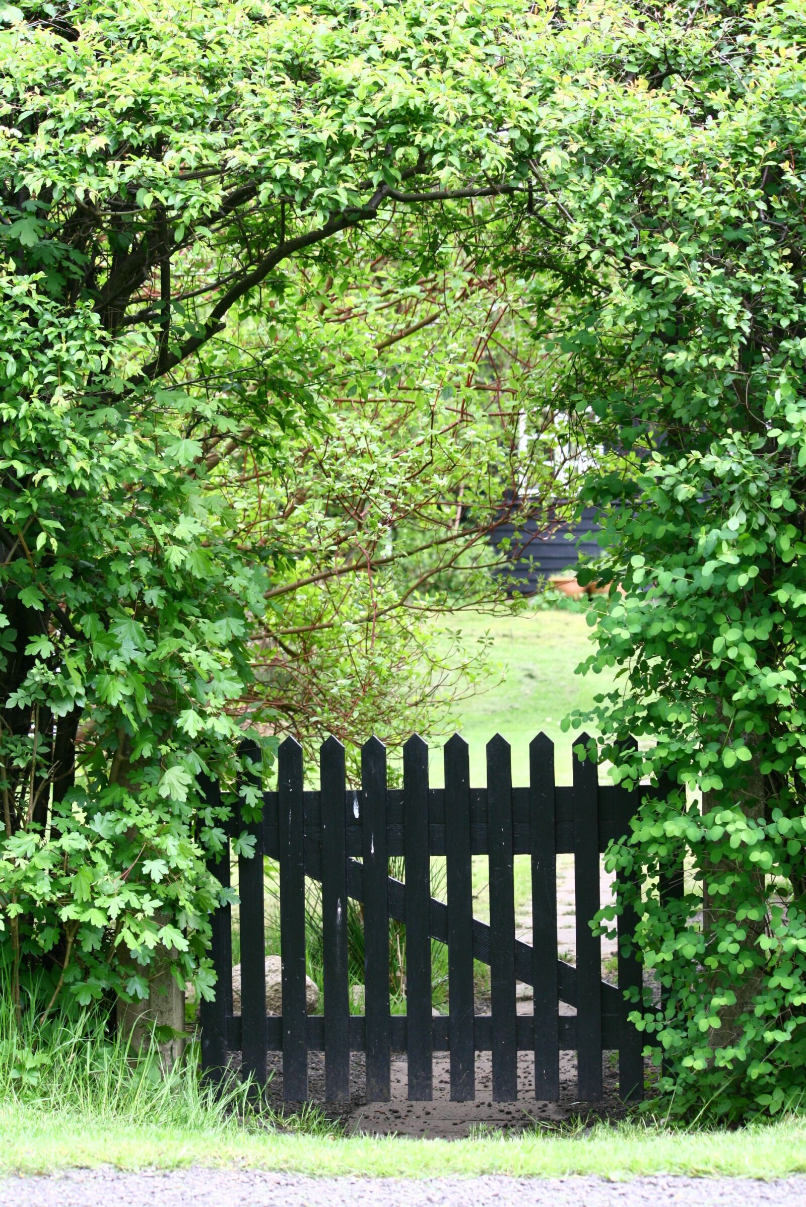 Canon EOS 400D (EOS Digital Rebel XTi / EOS Kiss Digital X) sample photo. Garden gate, holiday house photography