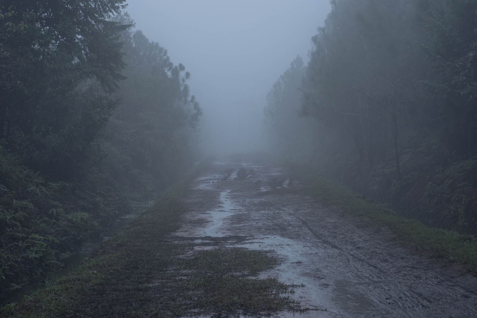 Nikon D7200 sample photo. Fog, nature, waterfall photography