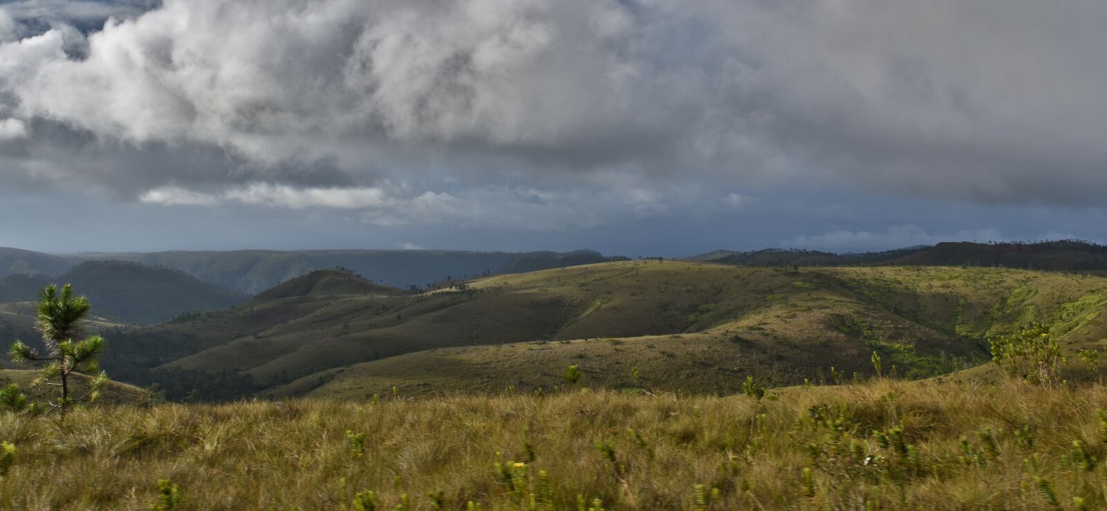 Nikon D7200 sample photo. Mountain's, belize, grass photography