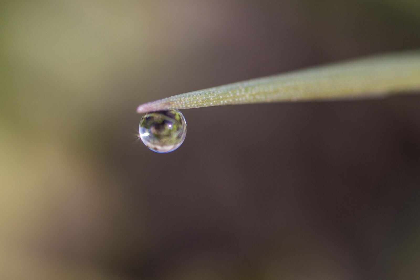 Canon EOS 70D sample photo. Drop of water, water photography